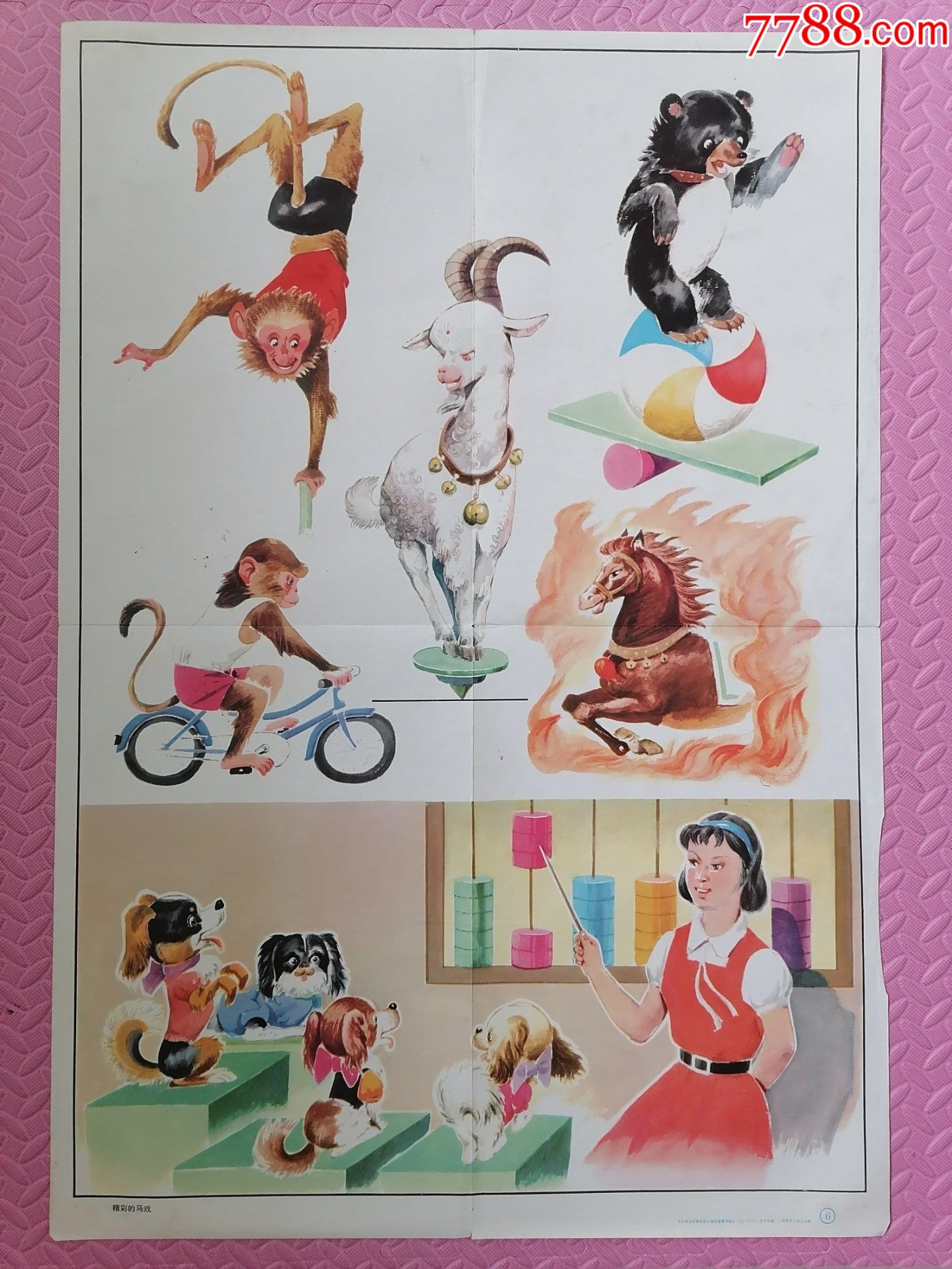 精彩的马戏对开小学语文挂图