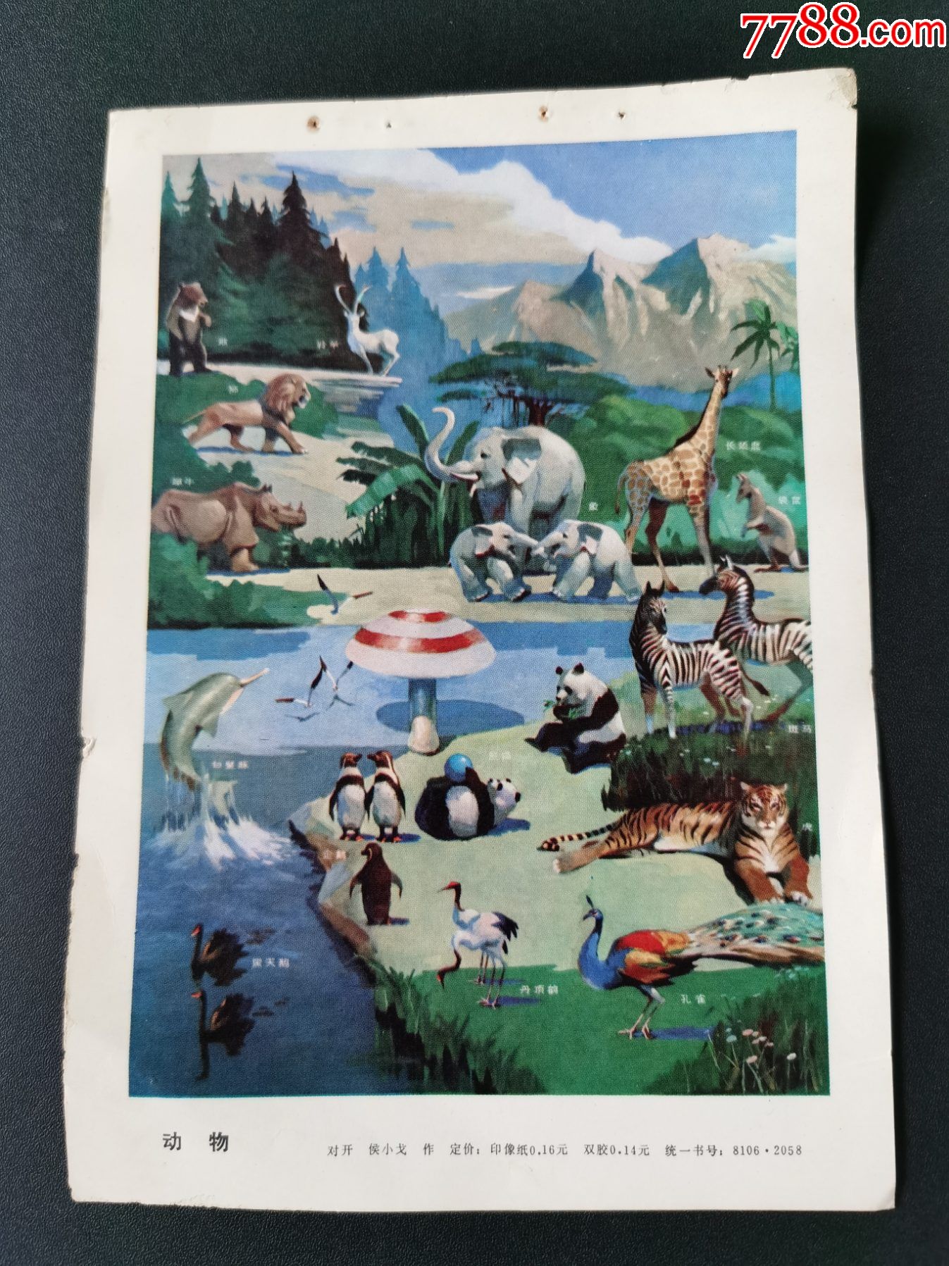 宣传画(动物)熊猫和各种动物大联欢;32开_小画片_杂品小店壹【7788票