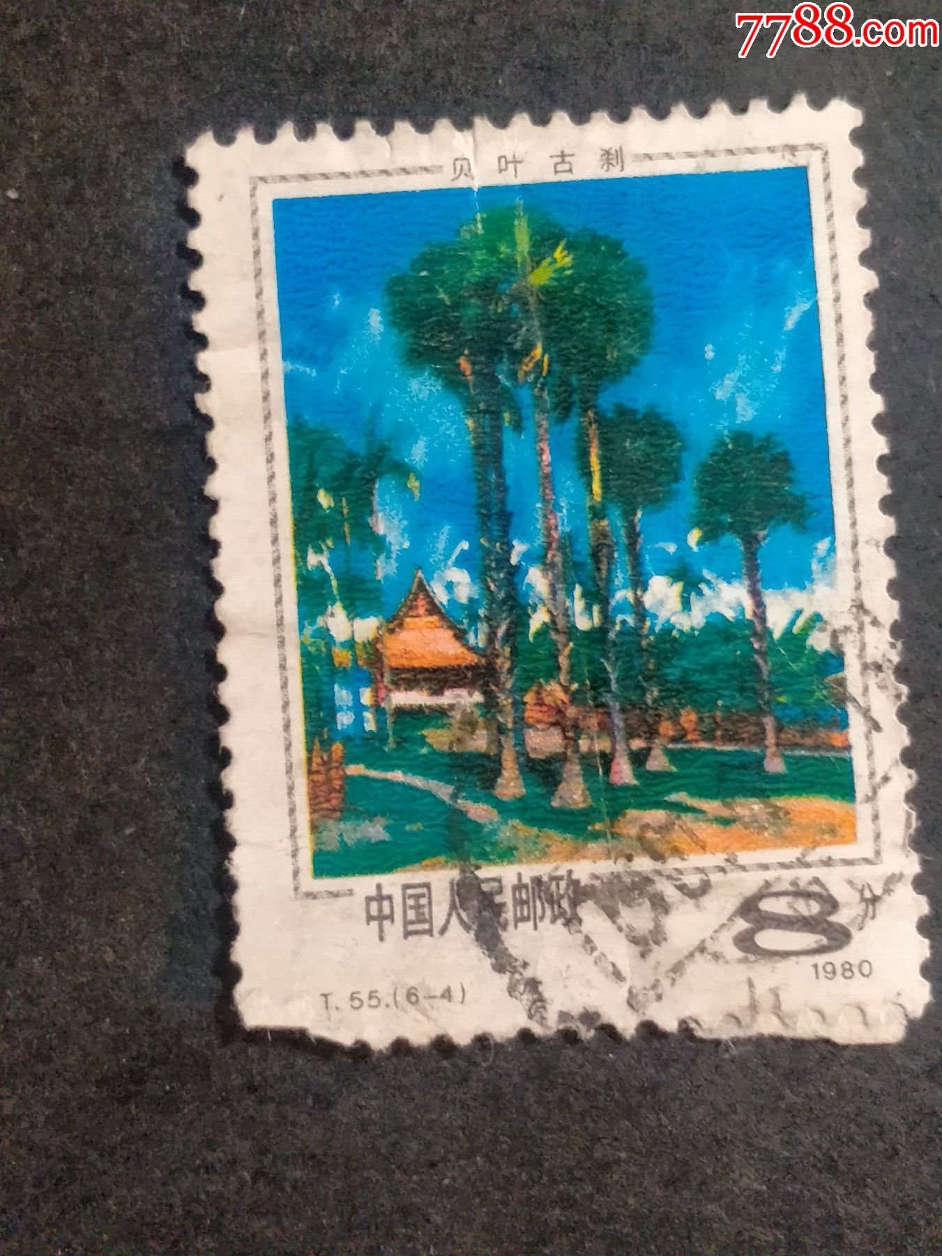 t55西双版纳风光瑕疵品05元