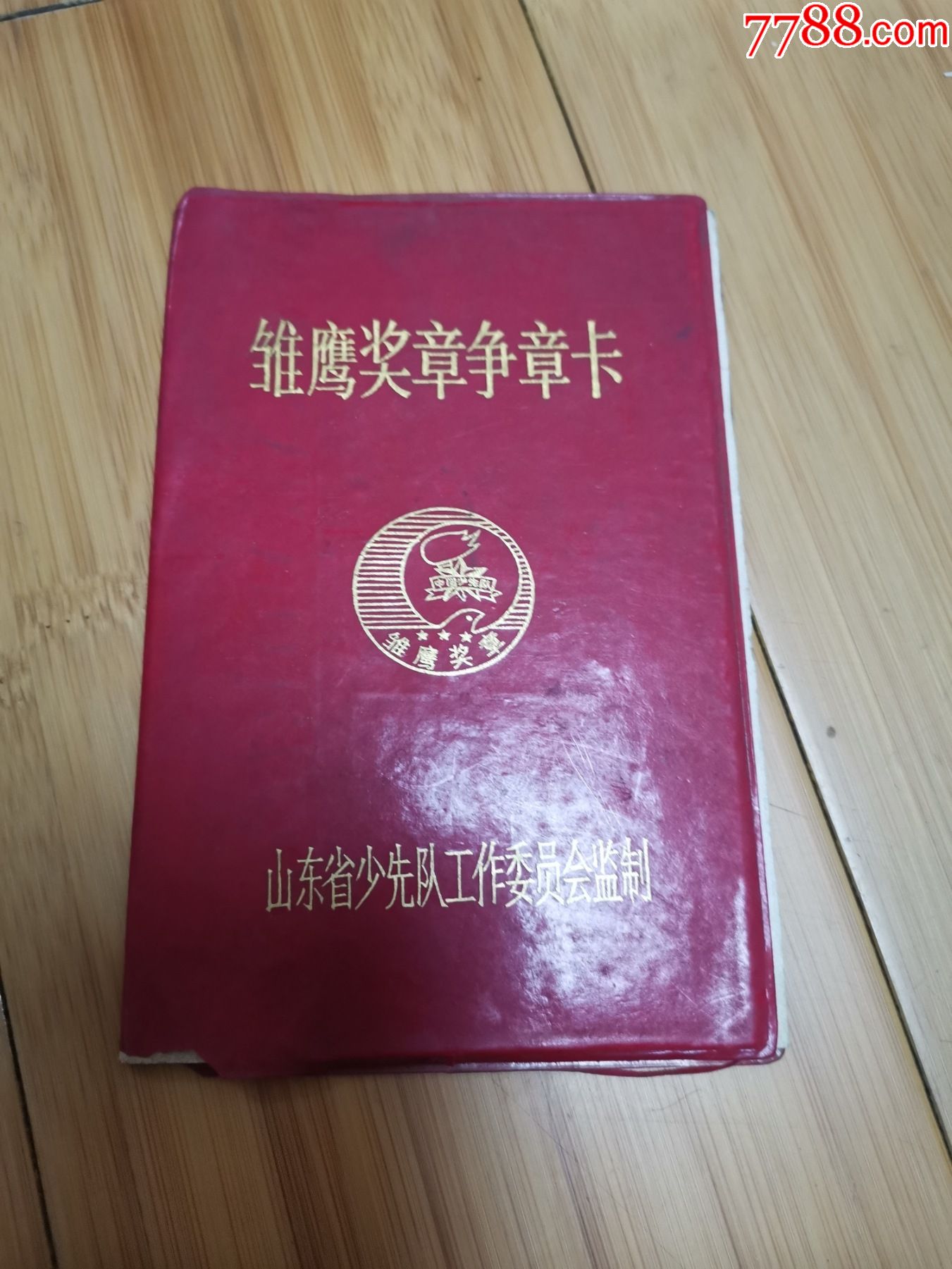 雏鹰奖章争章卡山东济宁