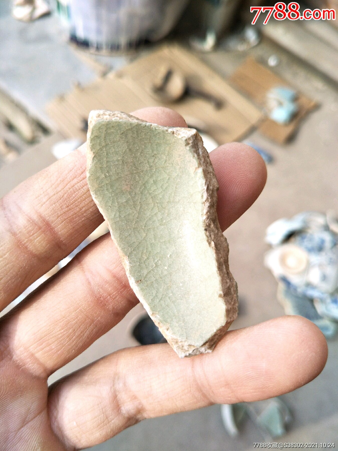 明代龙泉窑瓷片残片临清运河古玩店万枚古陶瓷标本馆