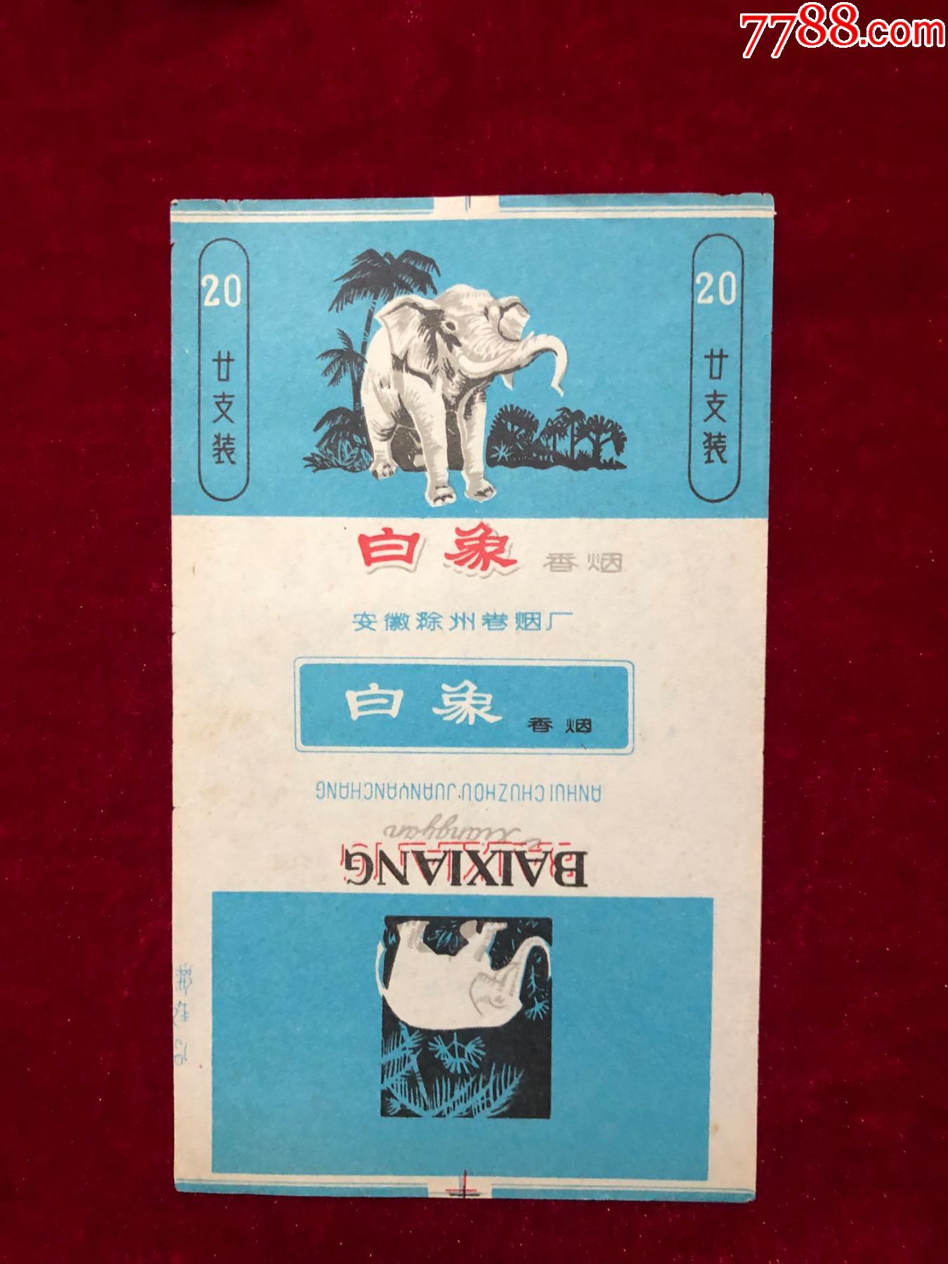 白象