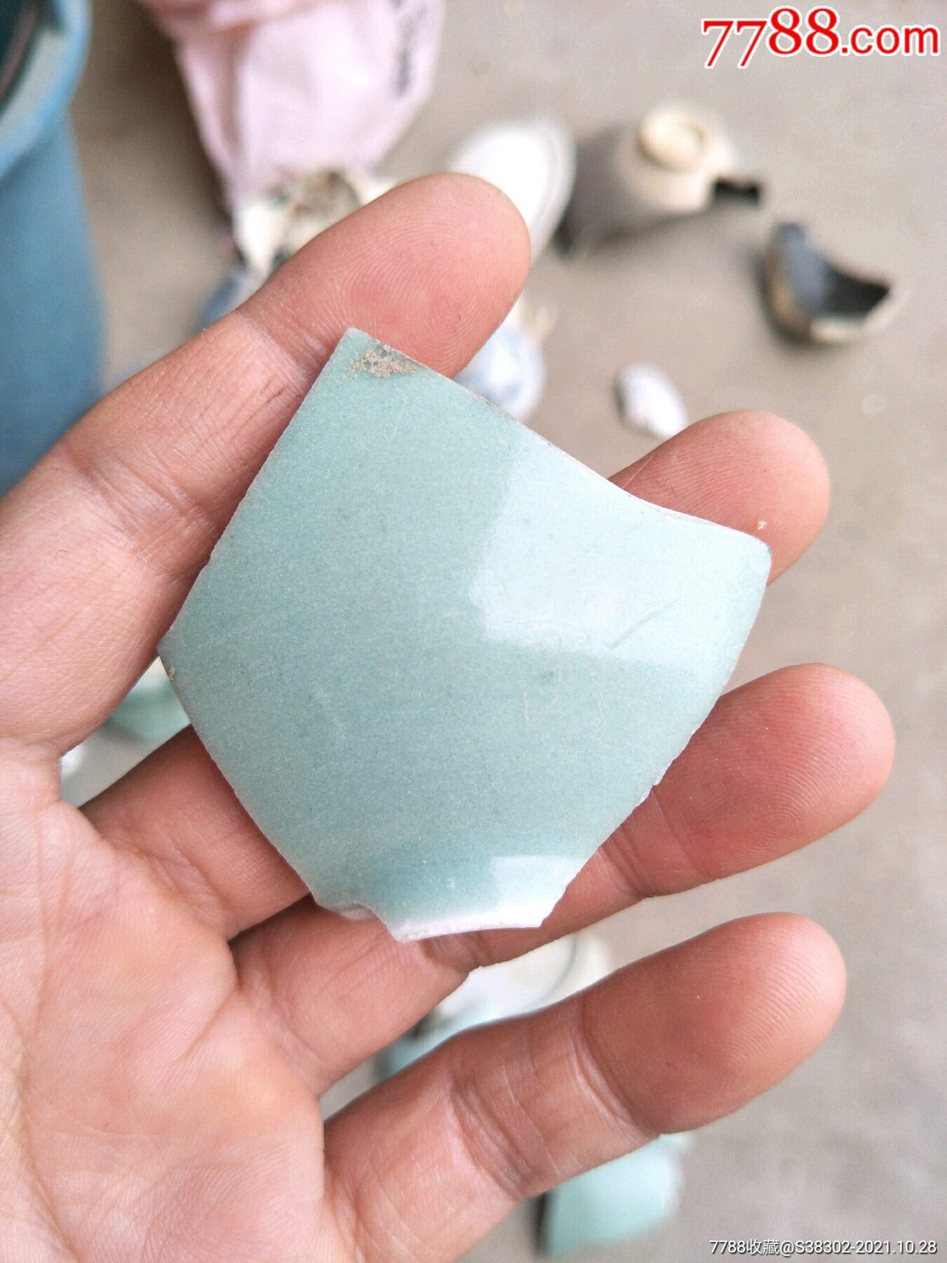 清代豆青釉瓷片残片临清运河古玩店万枚古陶瓷标本馆