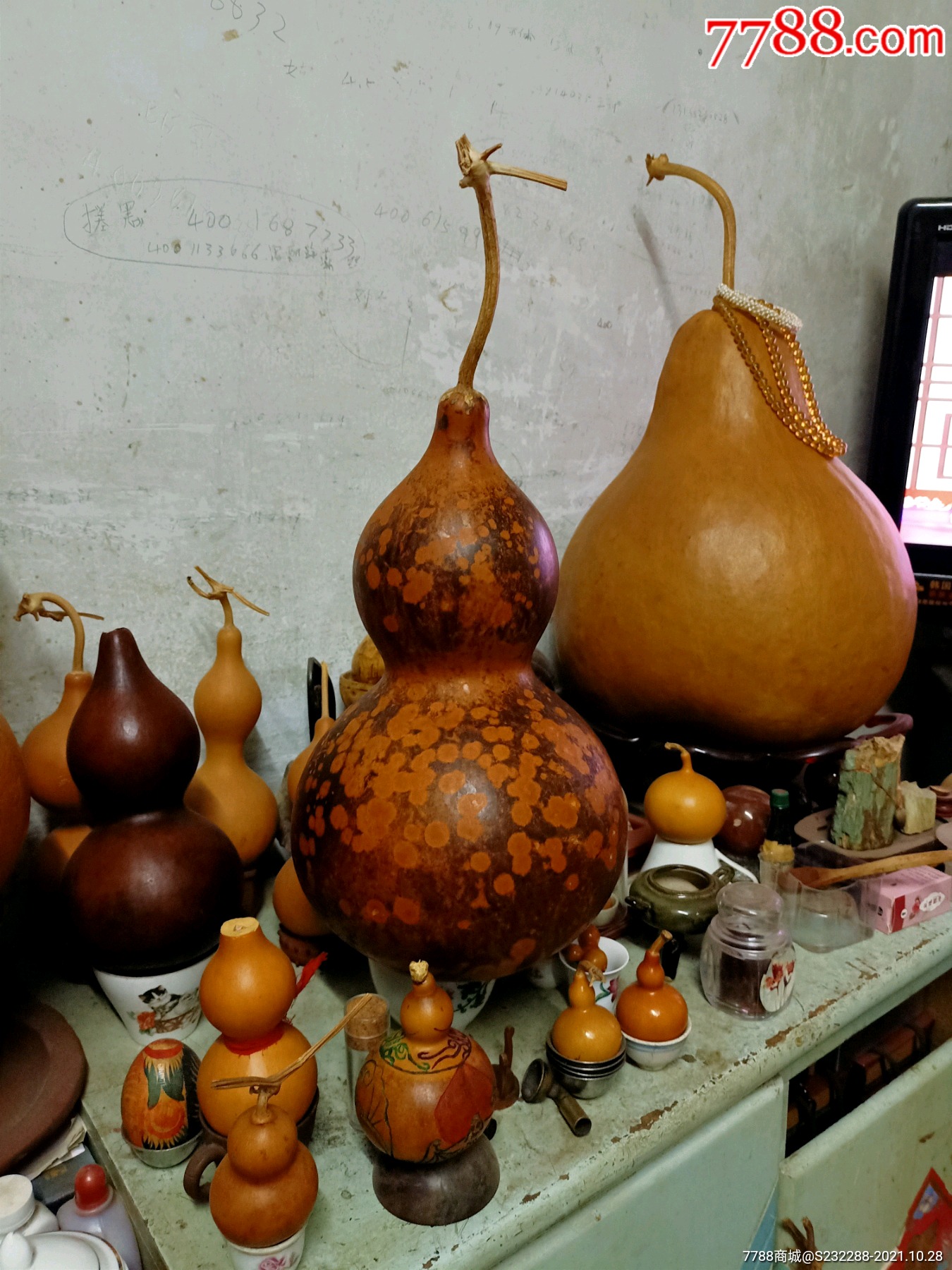 天然花皮葫芦稀少豹点图案收藏级