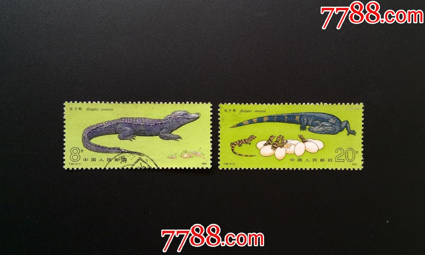 t85扬子鳄(3)-价格:6元-se83548800-新中国邮票-零售-7788收藏__收藏