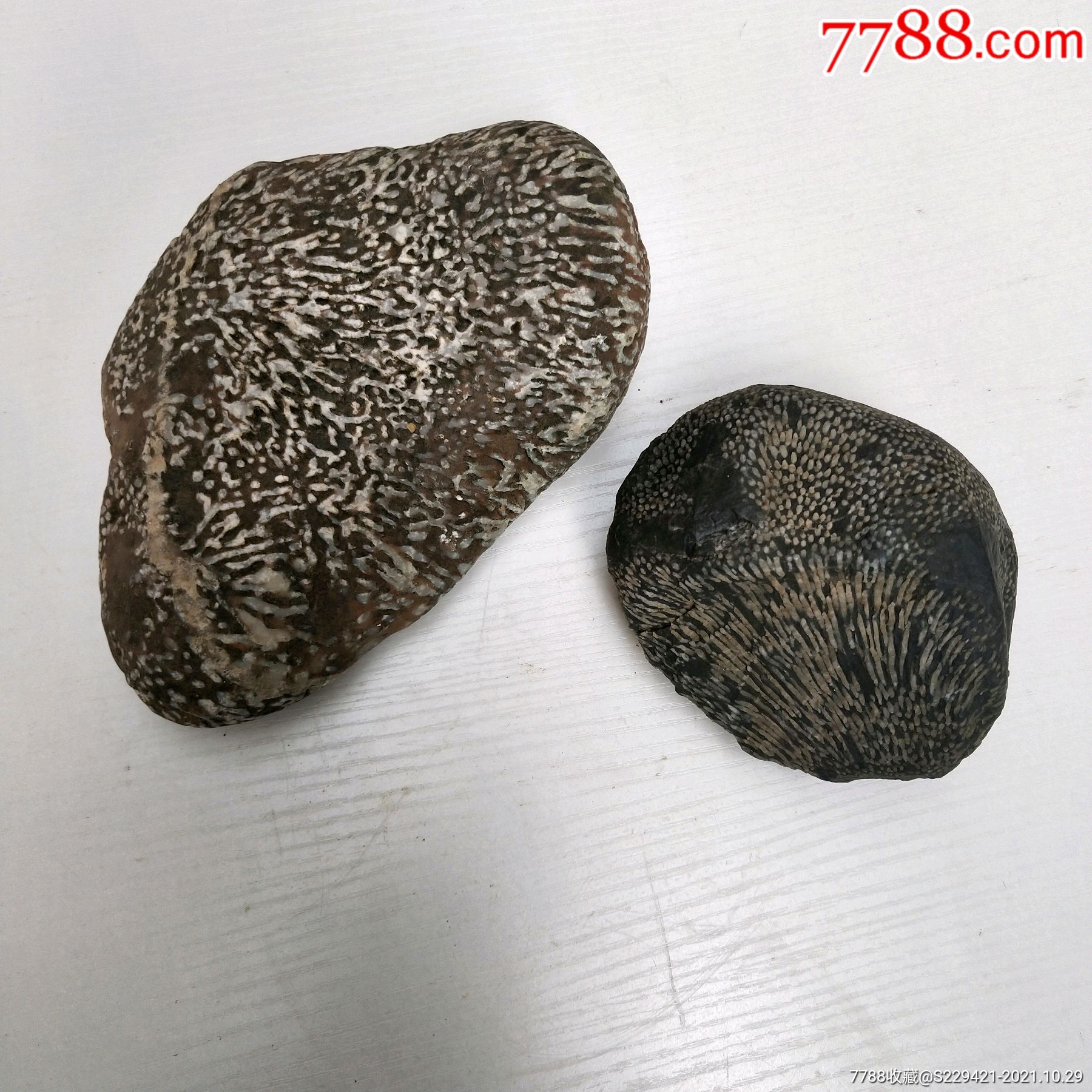 奇石天然雨化石白色雨雪线穿透岩河水冲刷纹理石