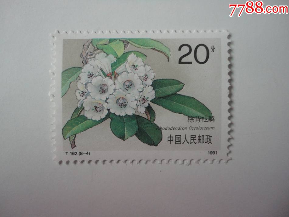 杜鹃花20分邮票