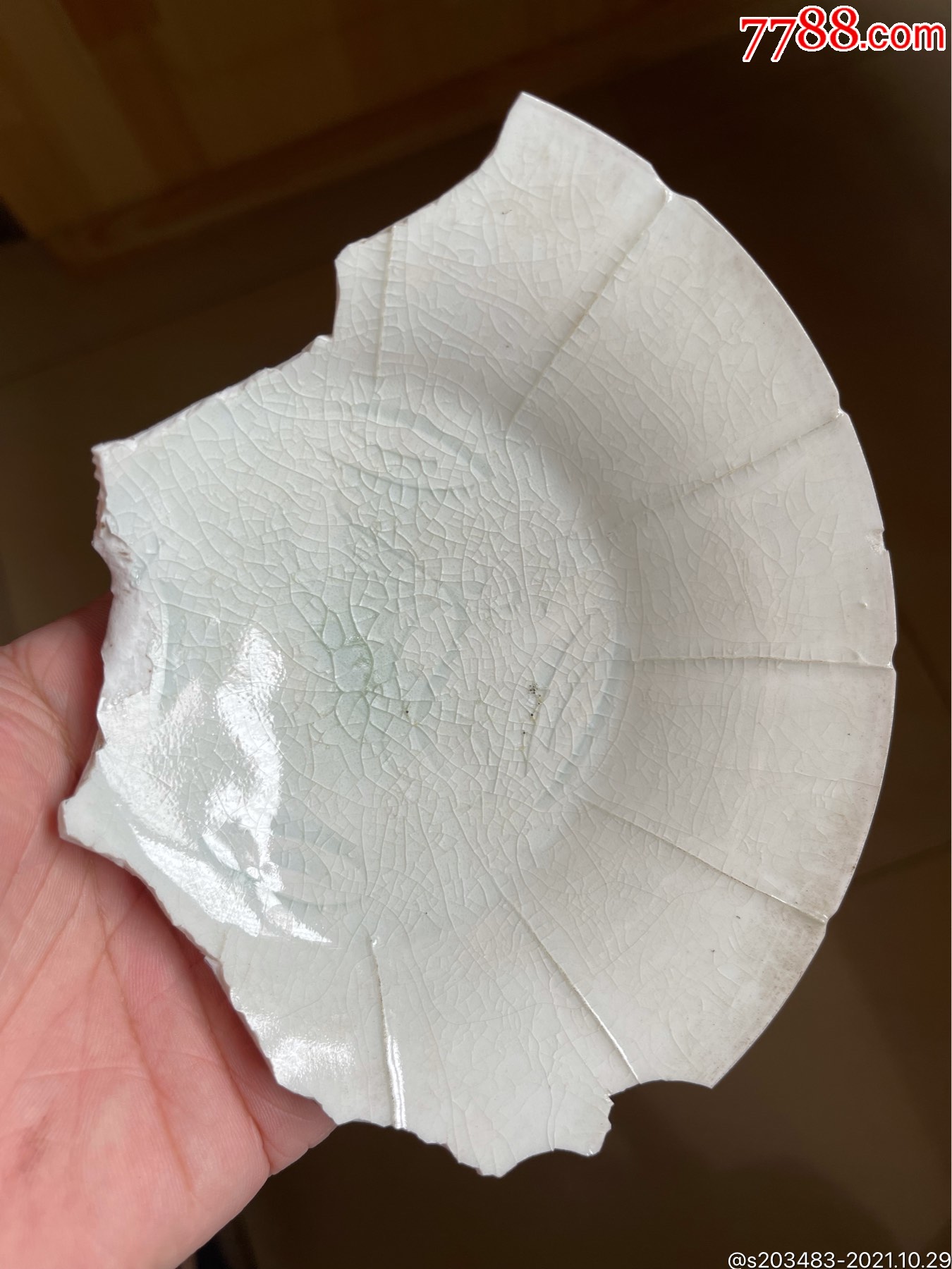 陶瓷碎片标本陶瓷器