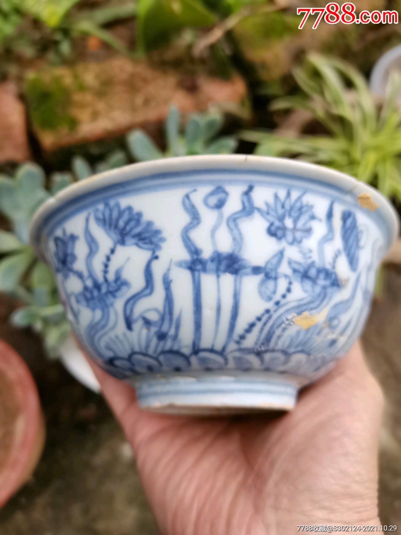 明朝成化年间青花海草纹碗