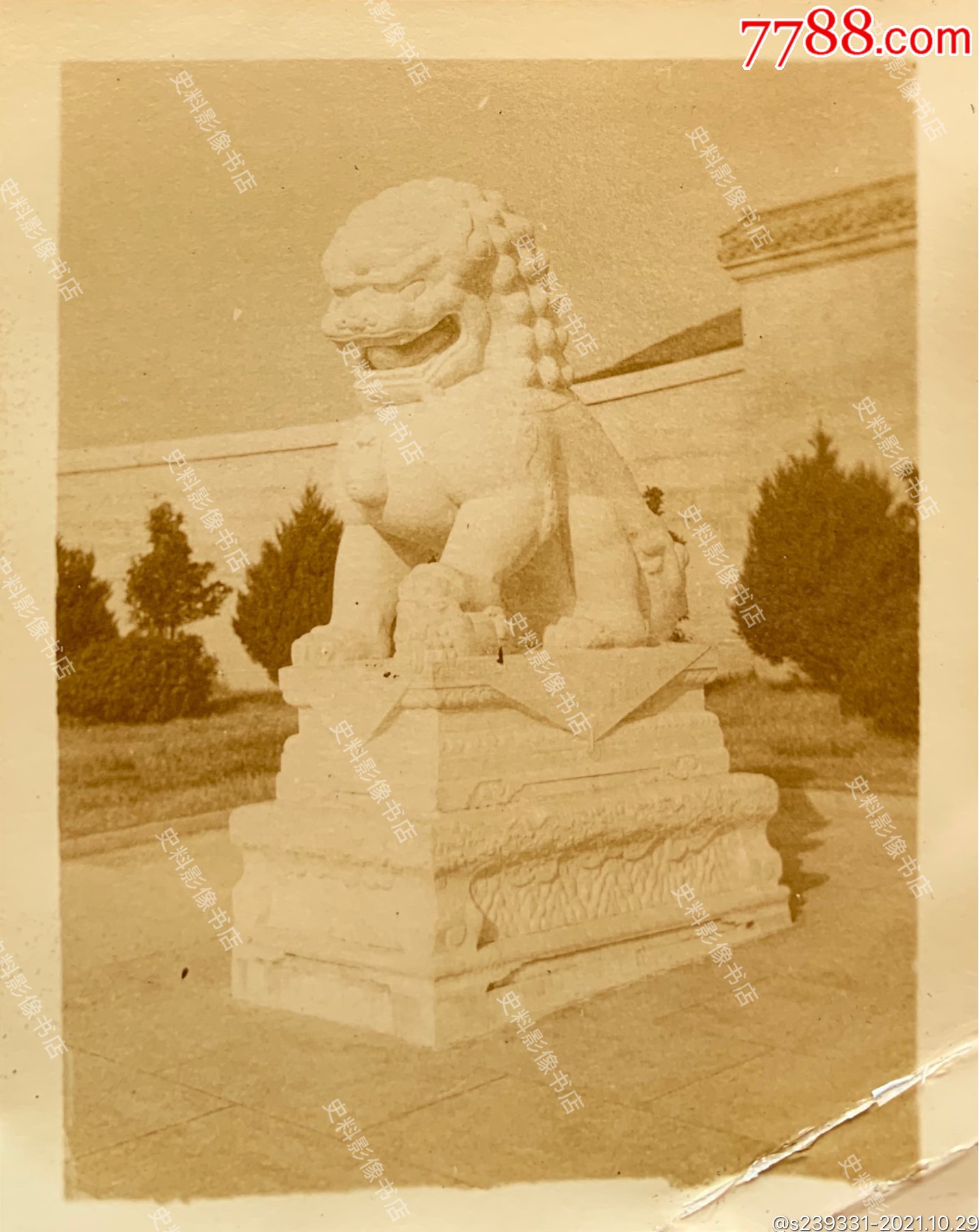 南京旧影抗战时期南京中山陵陵门前的石狮子原版老照片一枚