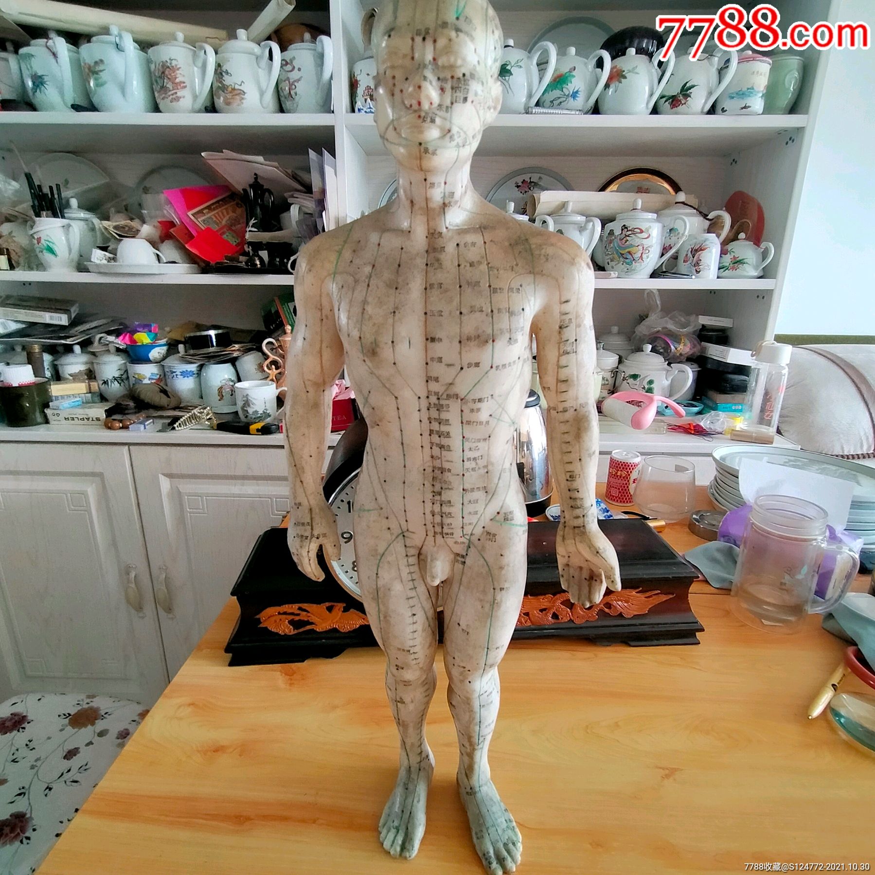 针灸穴位胶皮人