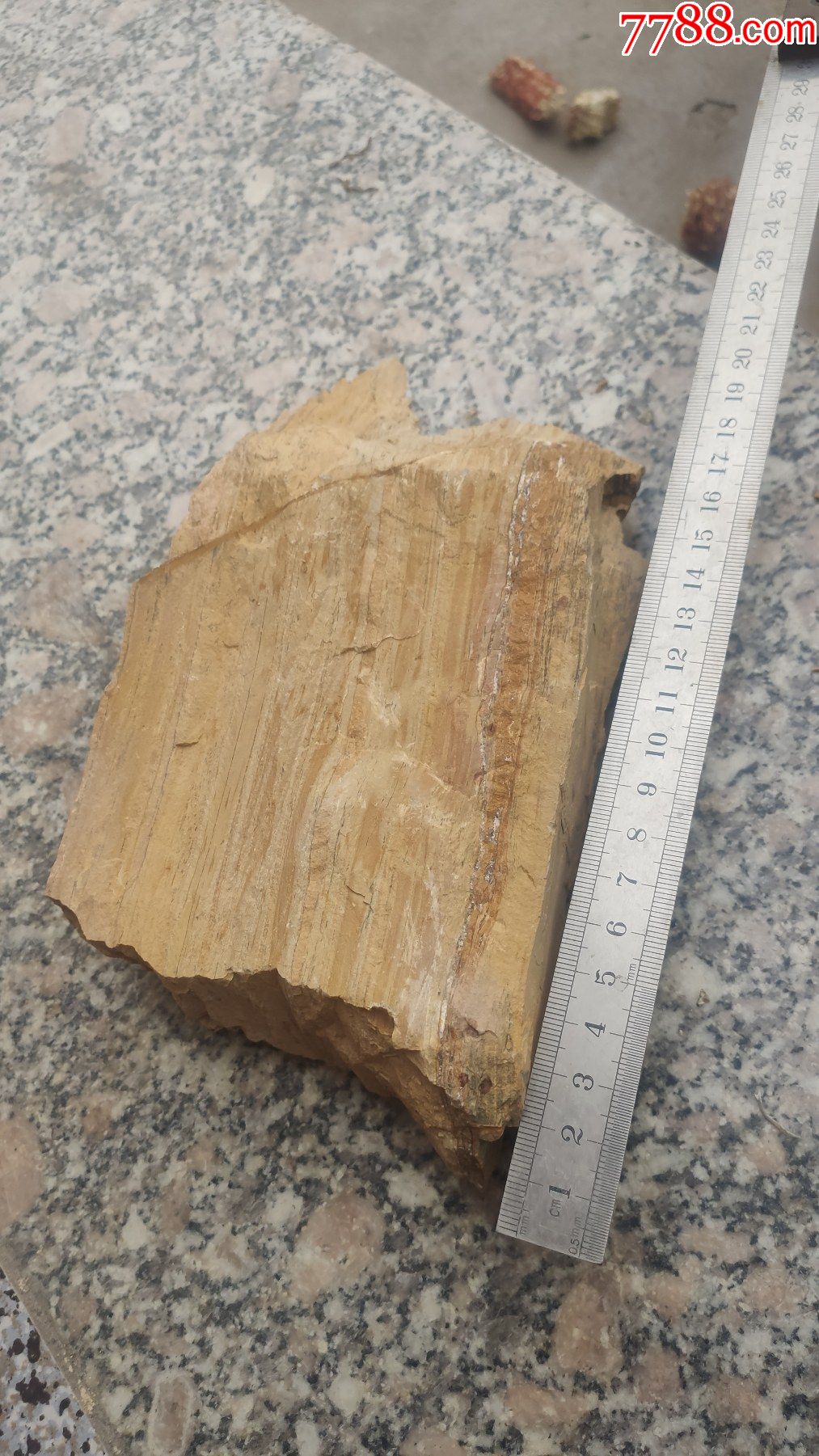 奇石千层木纹石观赏石一块重25市斤花色