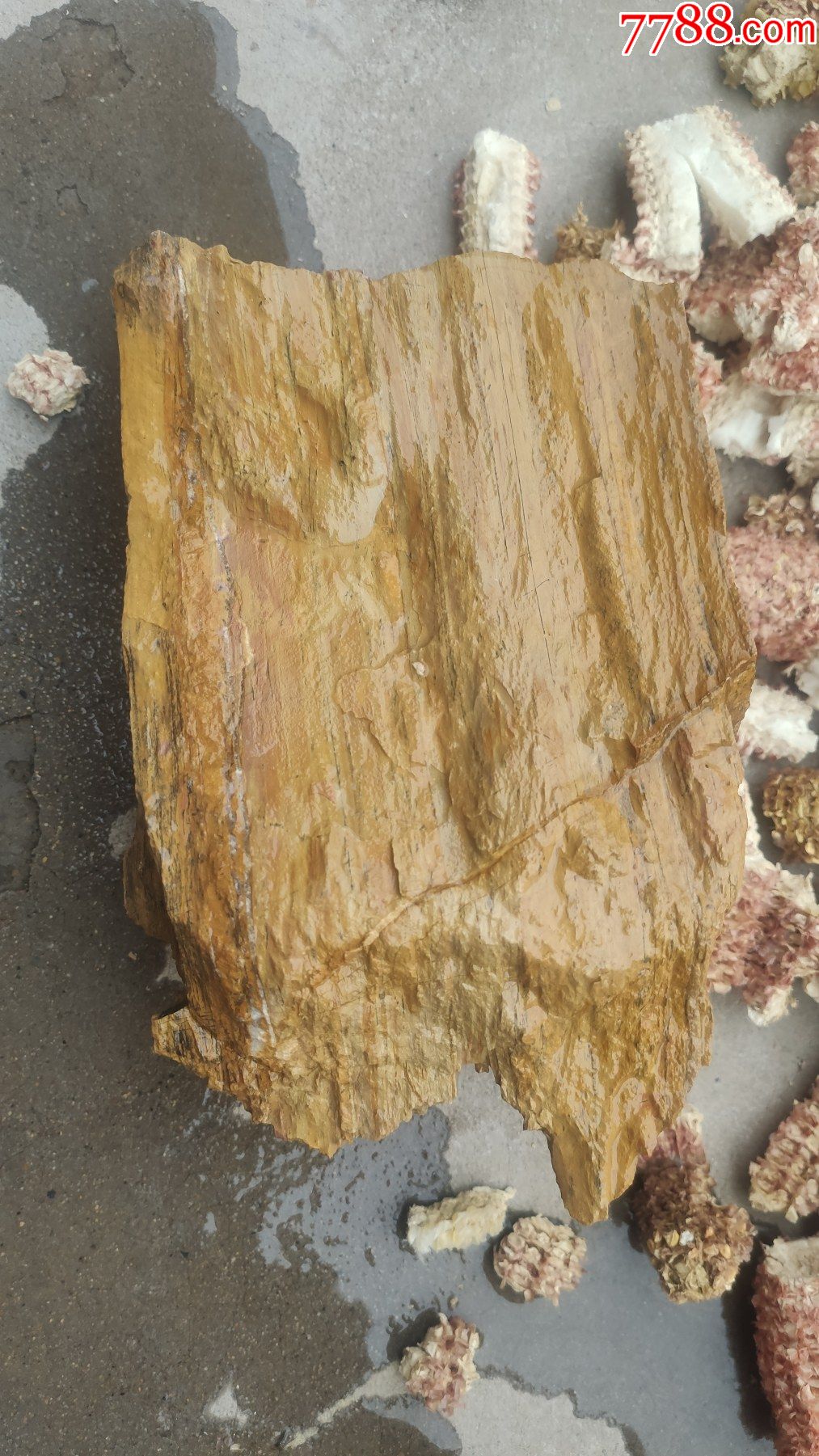 奇石千层木纹石观赏石一块重25市斤花色