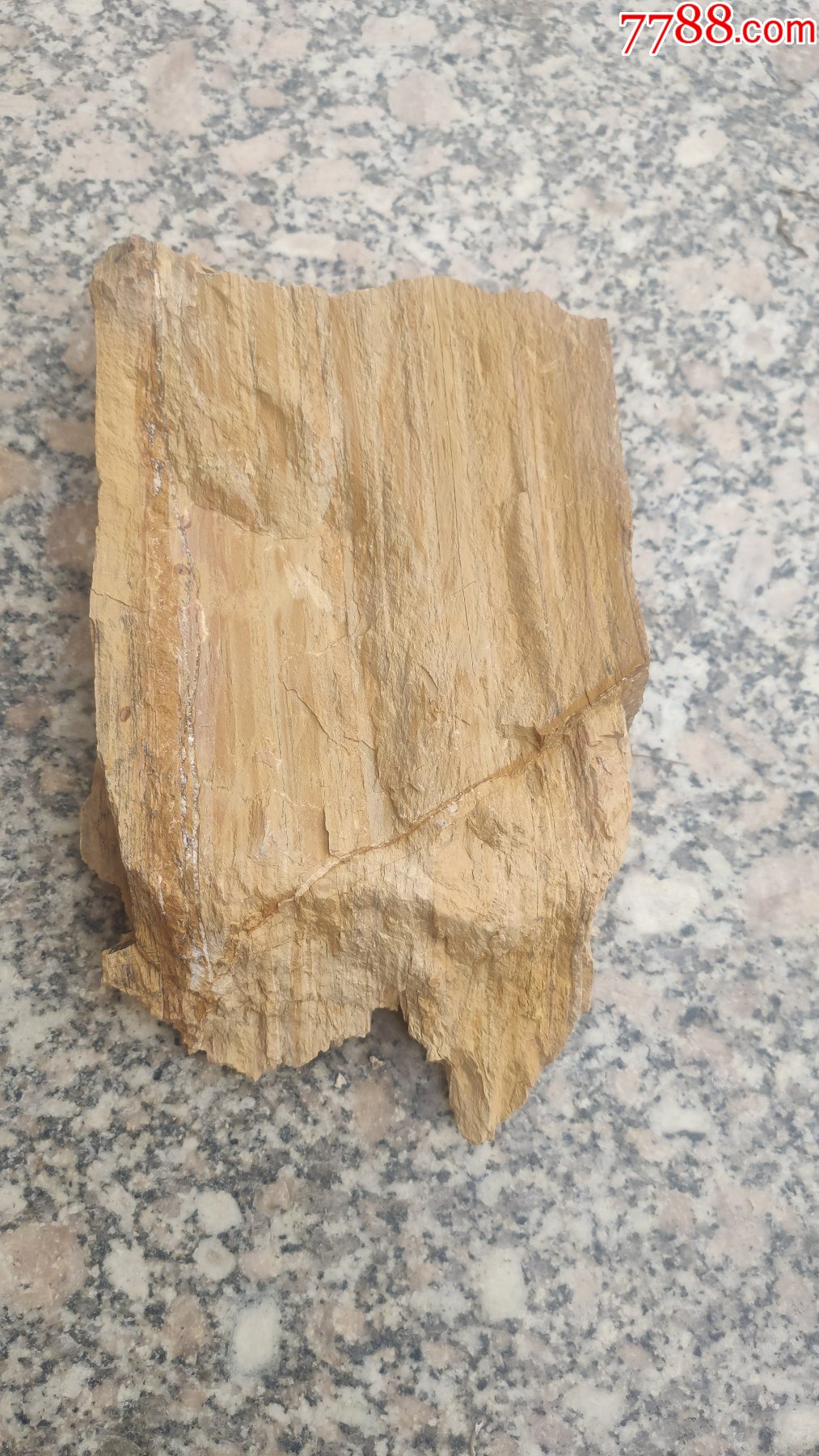 奇石千层木纹石观赏石一块重25市斤花色