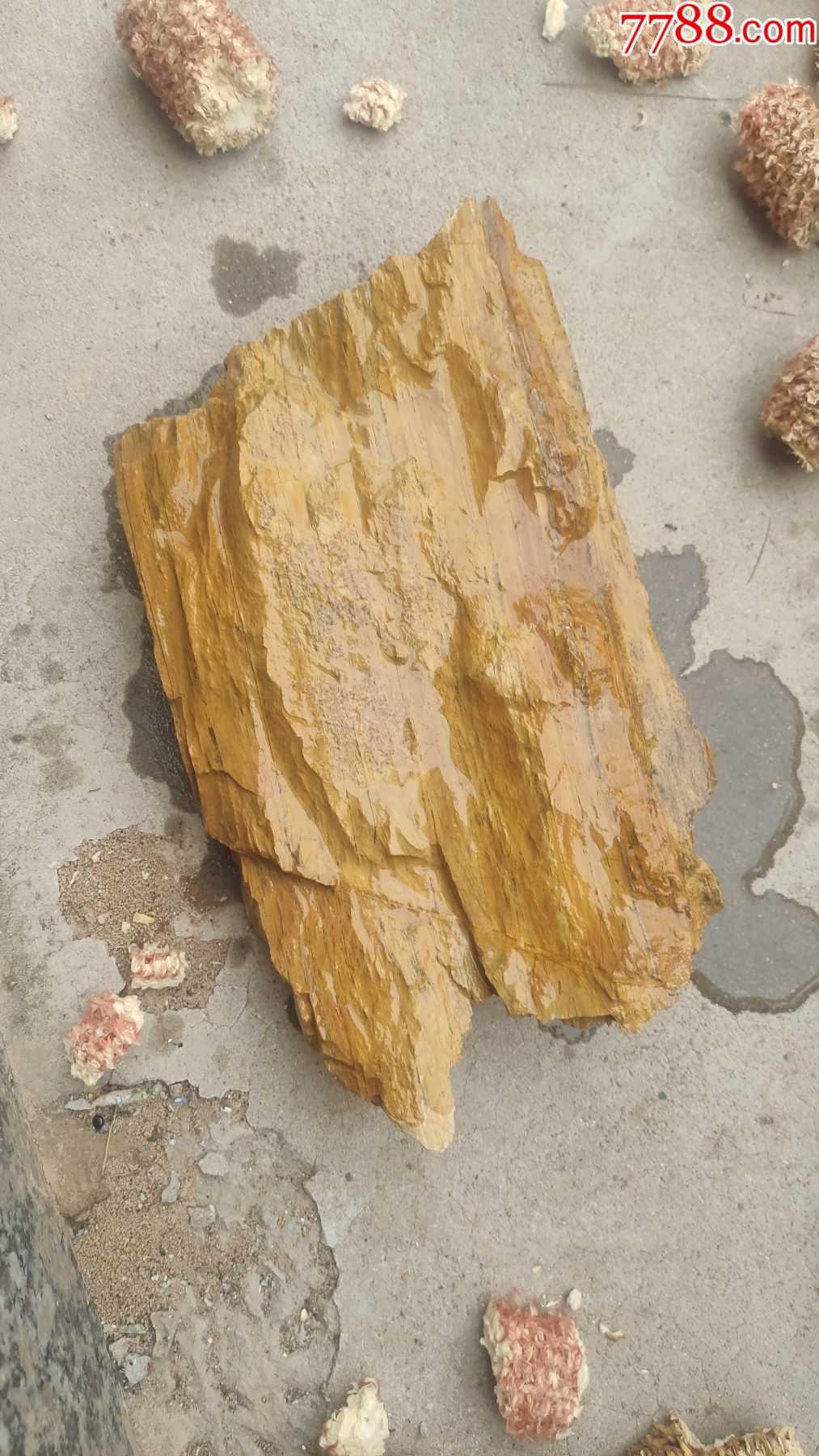 奇石;千层木纹石观赏石一块重2.5市斤花色-其他奇石/岩石-7788旧书网