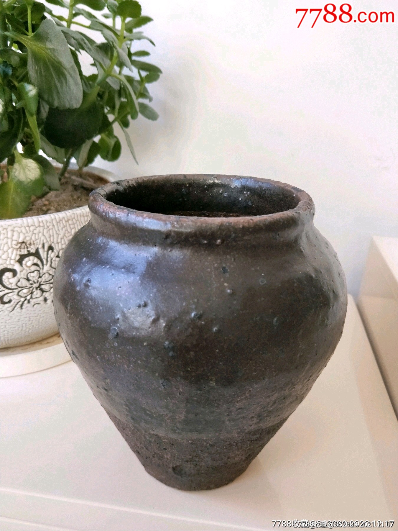辽金时期北方茶叶末釉小罐