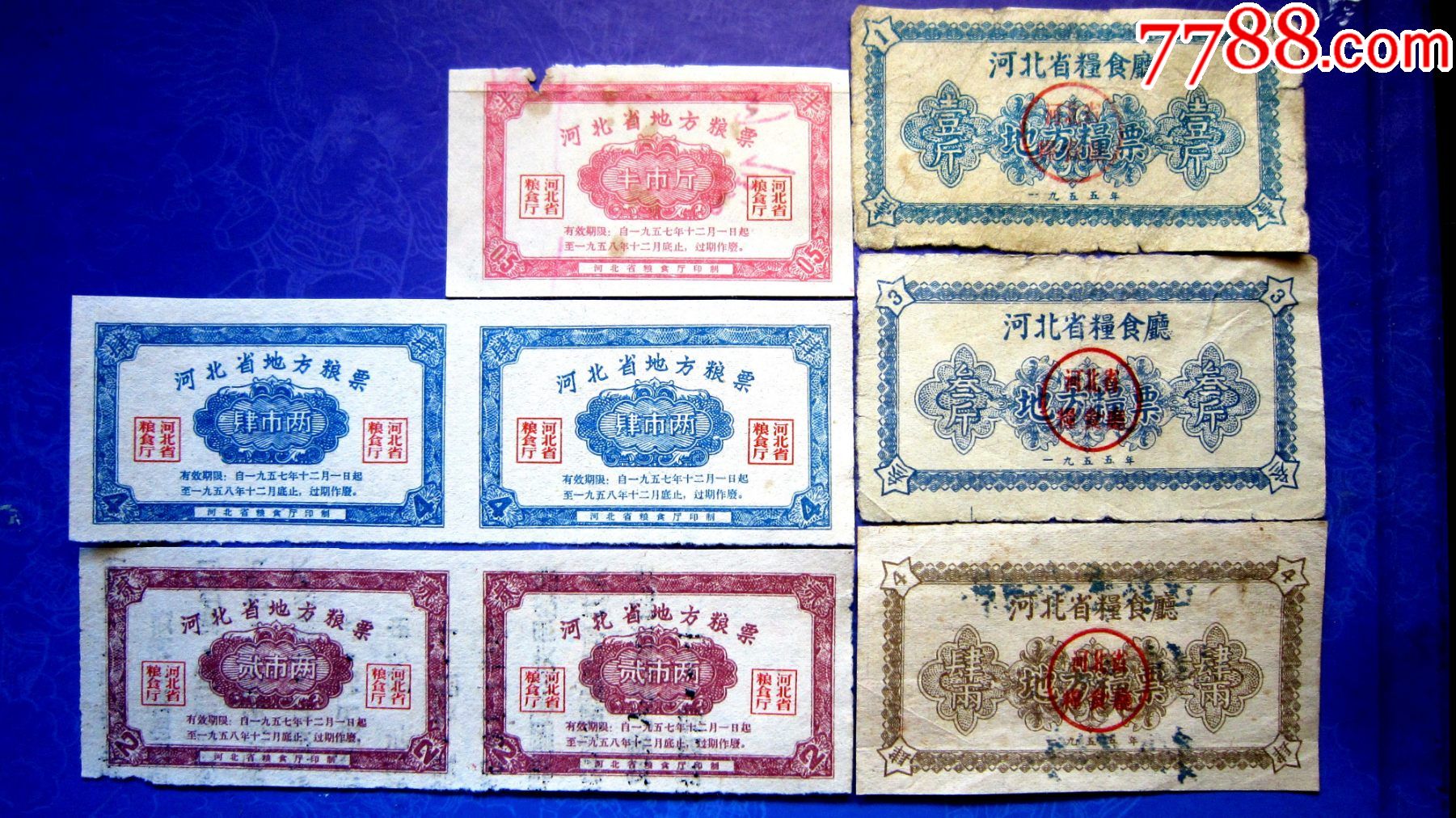 早期稀珍票河北省55年57年地方粮票8张合售