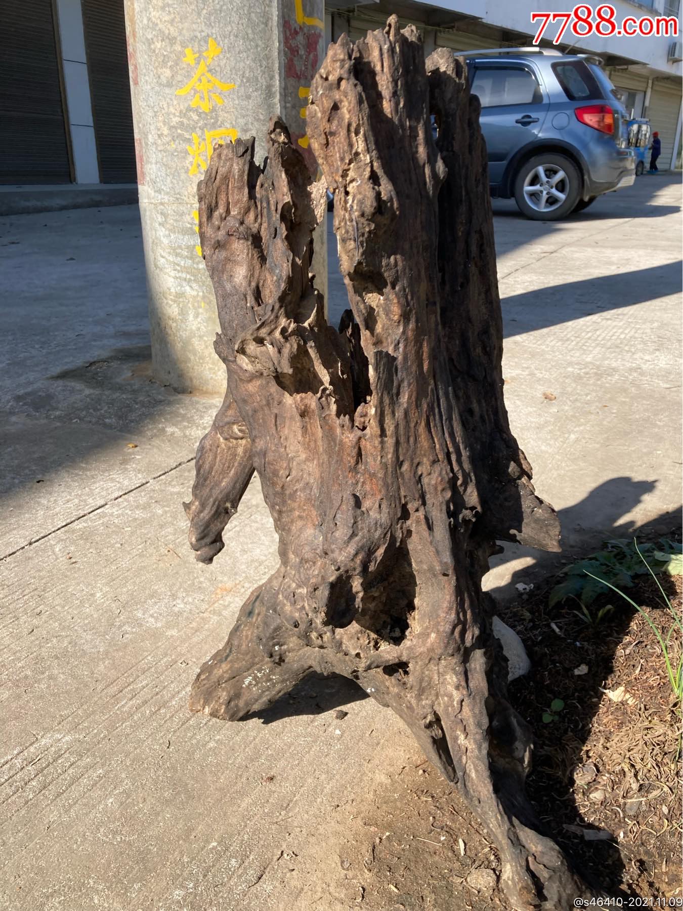 纯天然阴沉木树蔸摆件