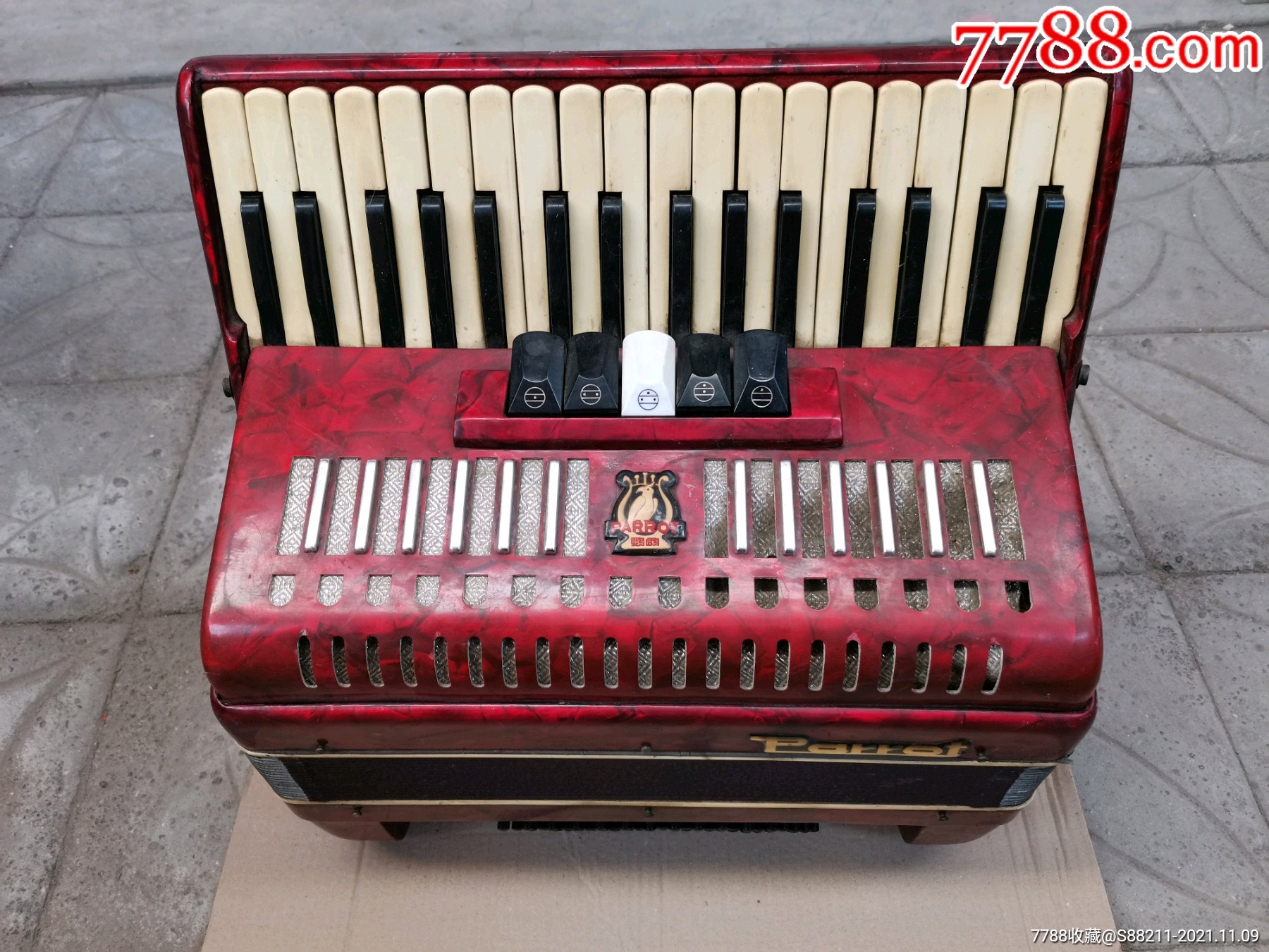 鹦鹉60贝司手风琴