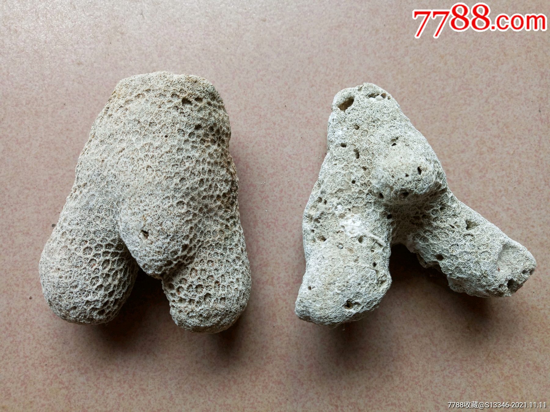 珊瑚化石(海南)_价格38元_第1张_7788商城__七七八八商品交易平台