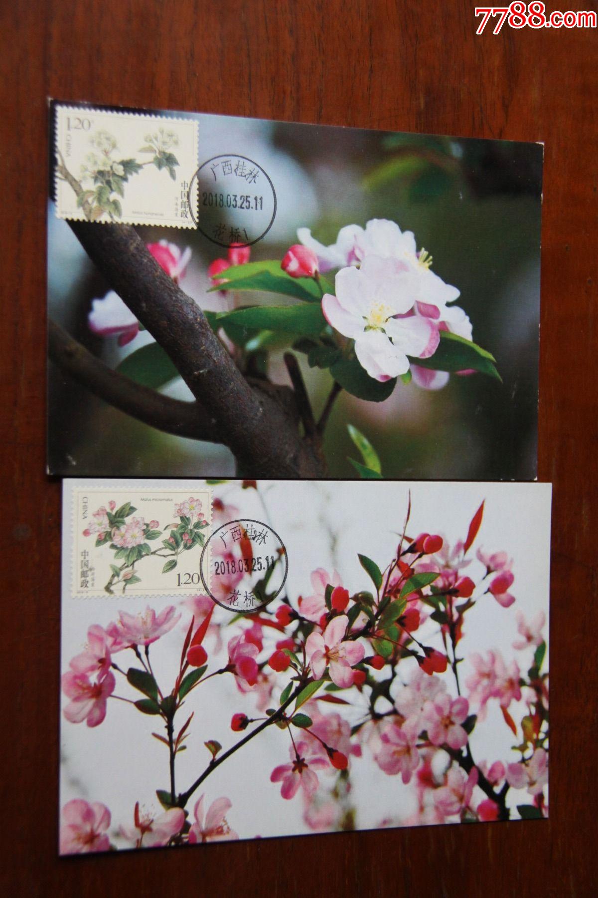 海棠花极限明信片-价格:22元-se83762942-明信片/邮资片-零售-7788收