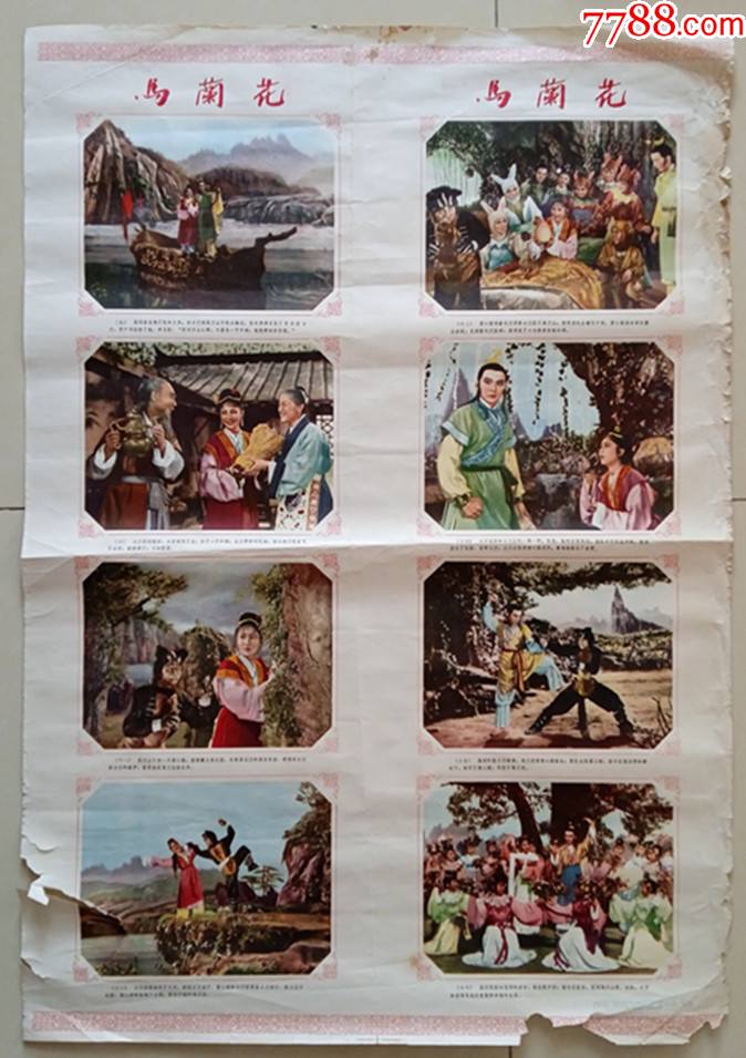 电影海报马兰花