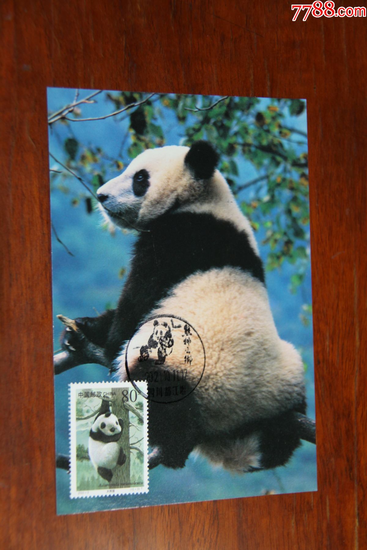 熊猫极限明信片