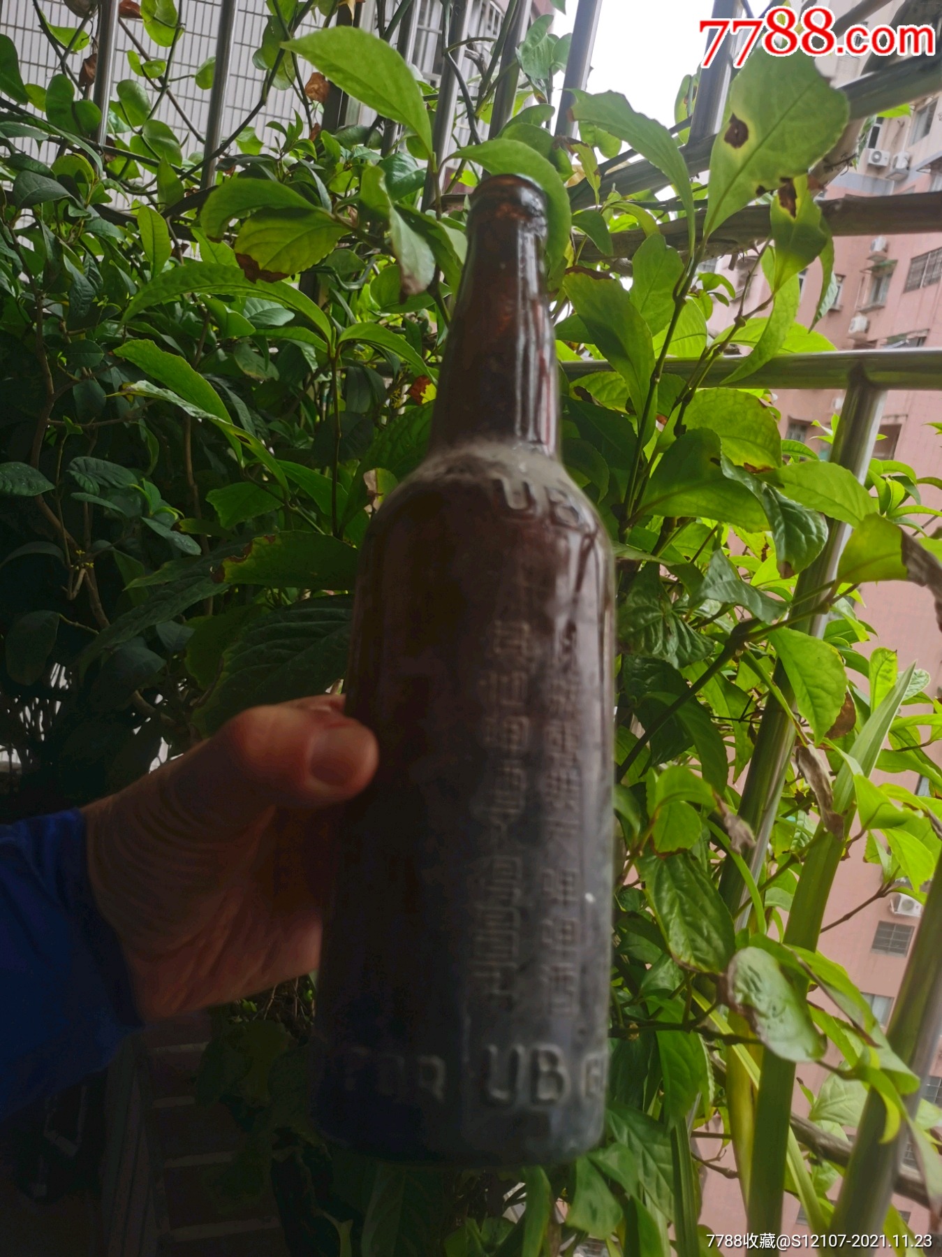 上海ub友啤专用茶色玻璃瓶-价格:450元-se83917544-酒瓶-零售-7788烟