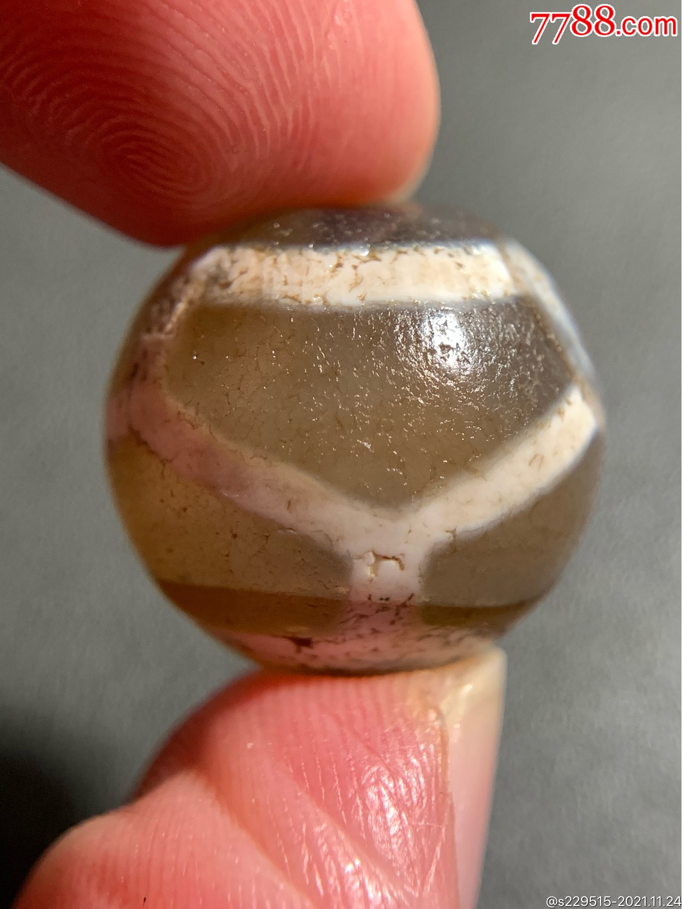 藏传六龟背达洛天珠18820毫米