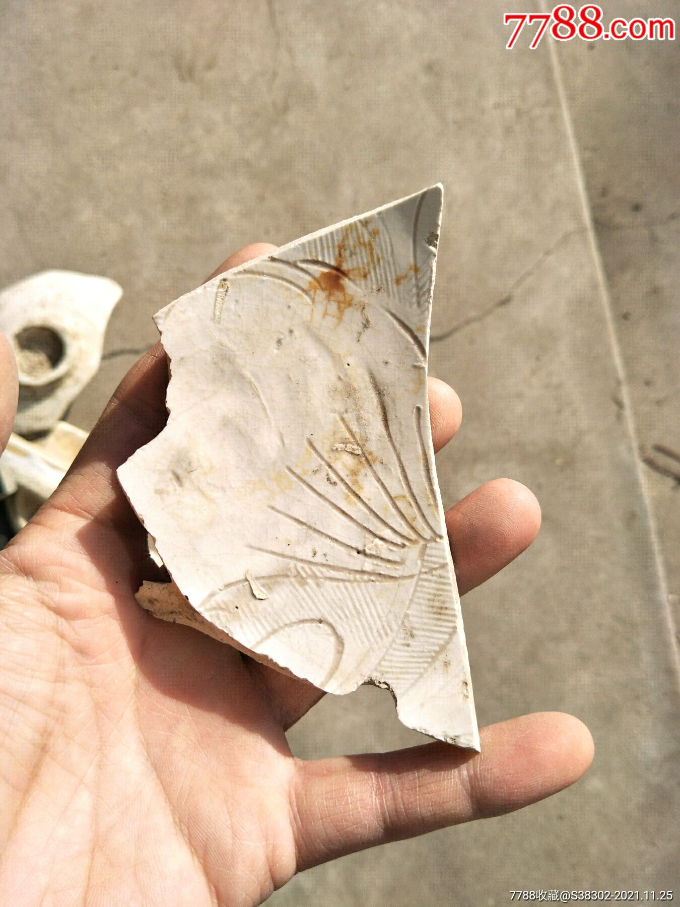 宋元磁州窑白釉刻花瓷片残片临清运河古玩店万枚瓷片标本馆