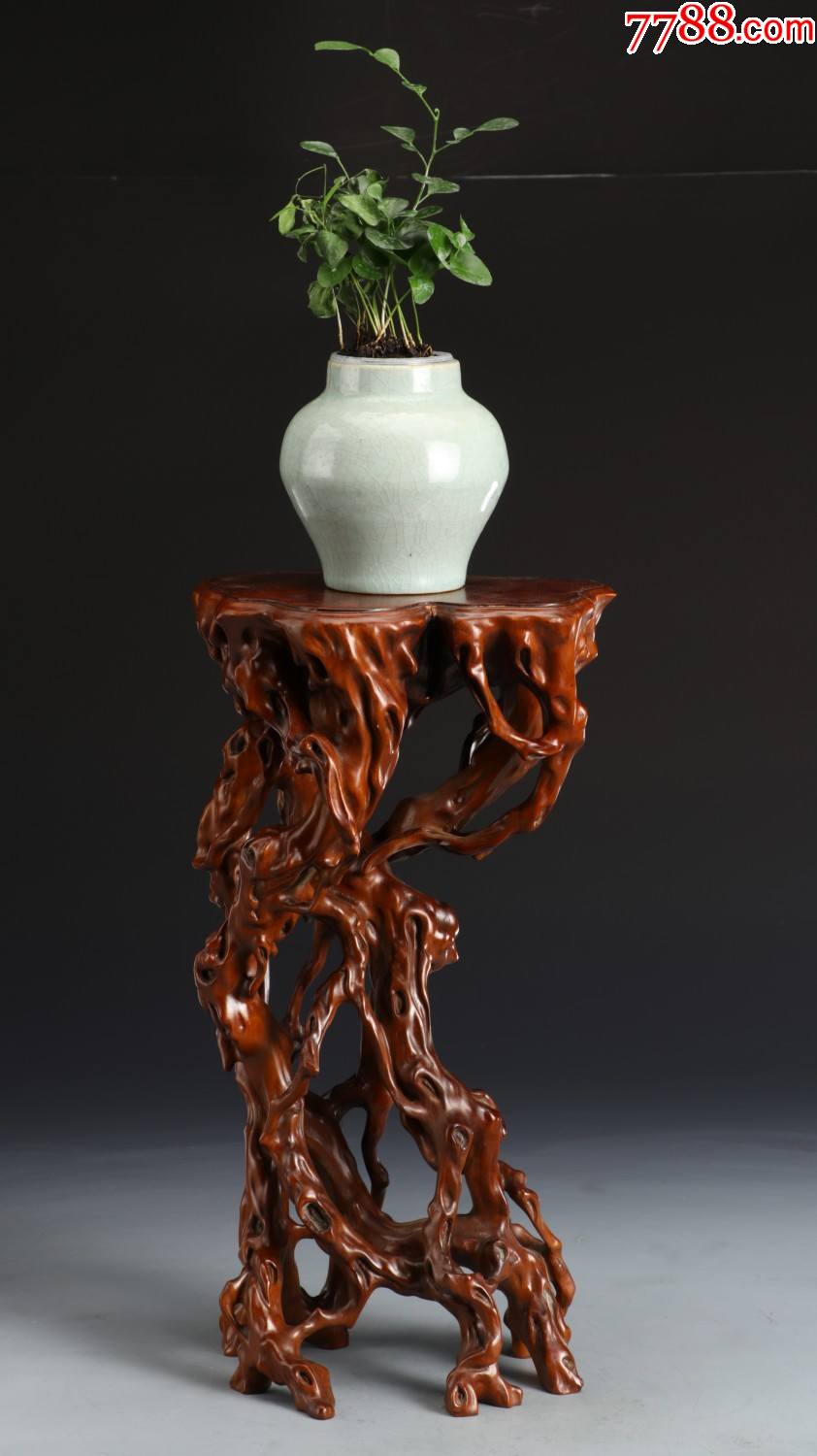 黄杨木天然树根花几摆件