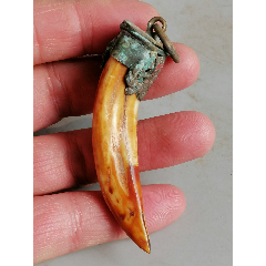 古代狗牙动物牙辟邪之物临清运河古玩店