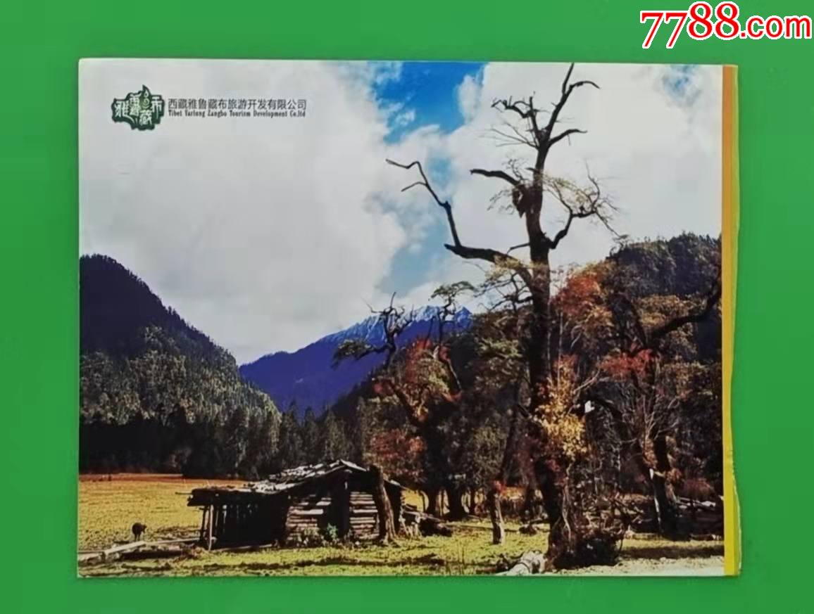 西藏雅鲁藏布【南伊沟】-价格:2元-se84073947-旅游景点门票-零售