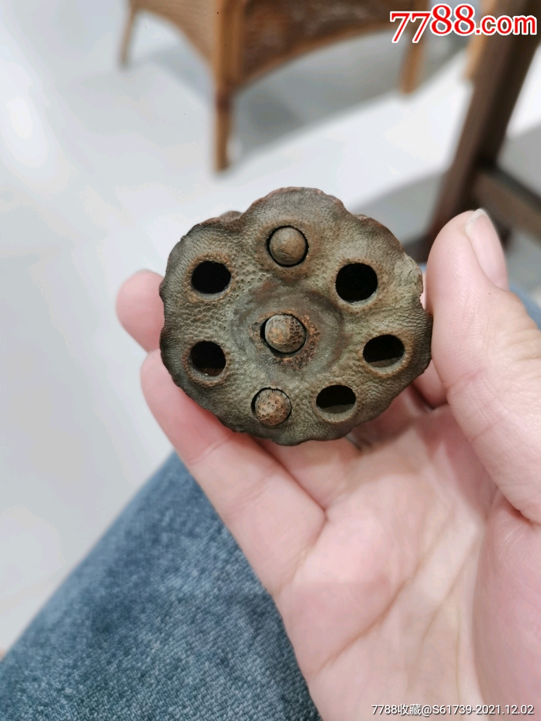 清代木莲藕_木雕摆件_第1张_7788小人书
