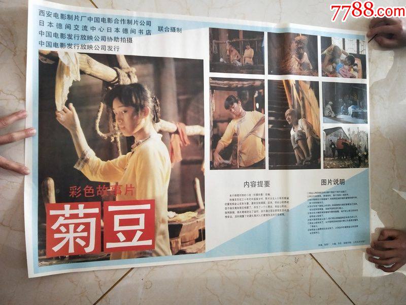 电影海报菊豆对开