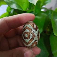 旧藏精品绿沁天珠