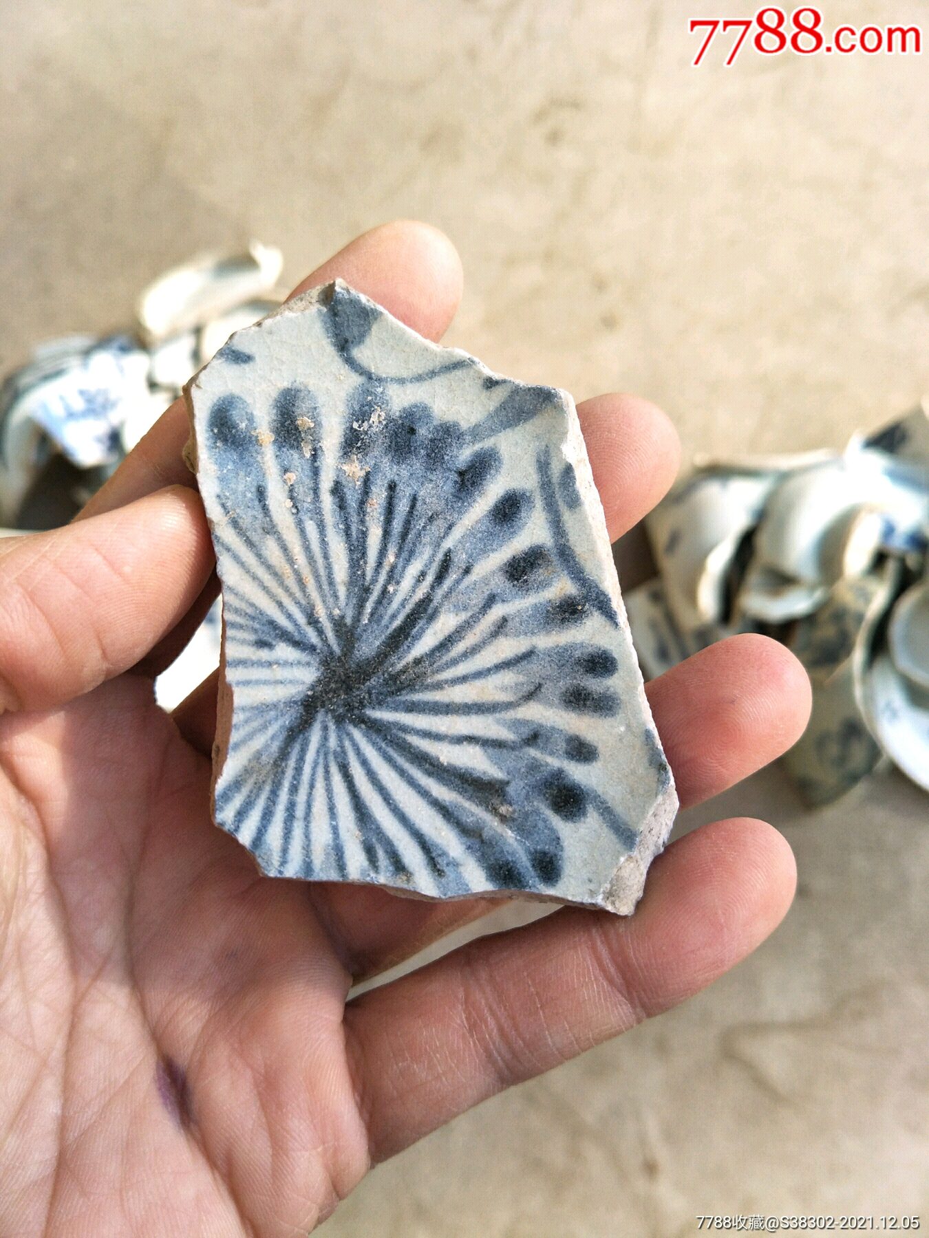 明代青花古陶瓷瓷片残片标本样品样本临清运河古玩店万枚瓷片标本馆