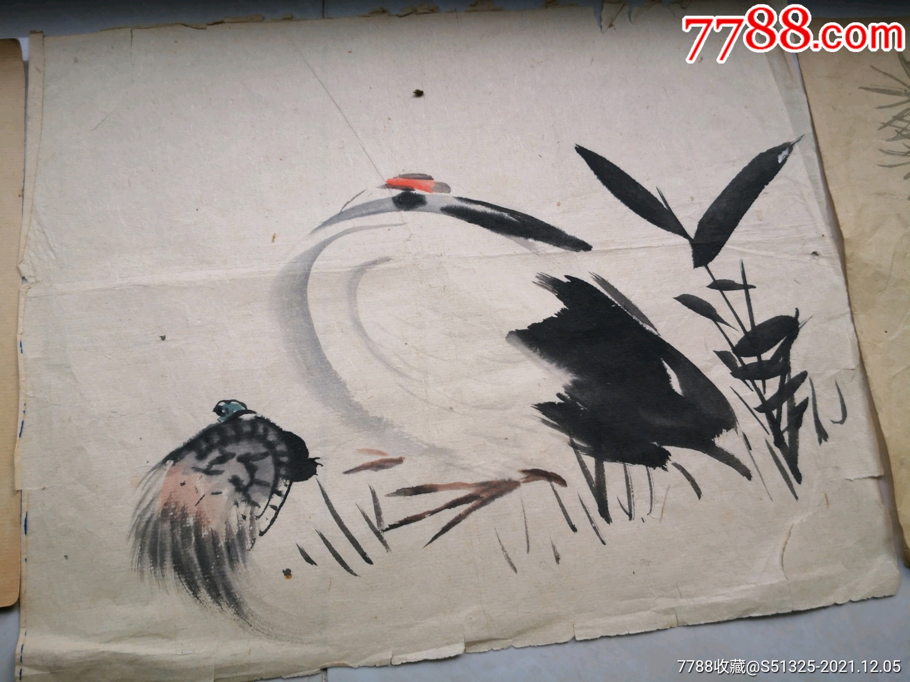 清末手绘龟与鹤