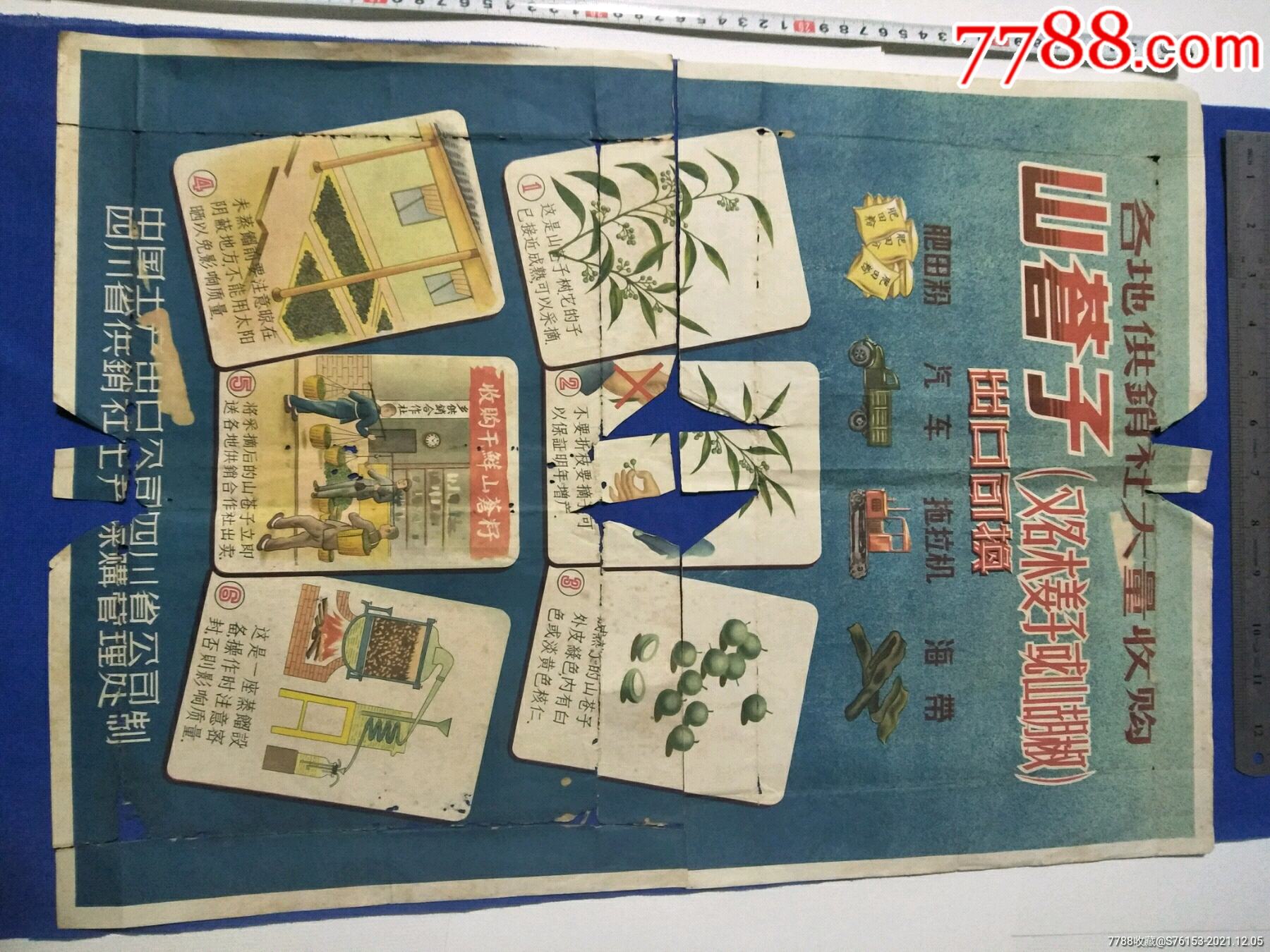 各地供销社大量收购山苍子出口可换