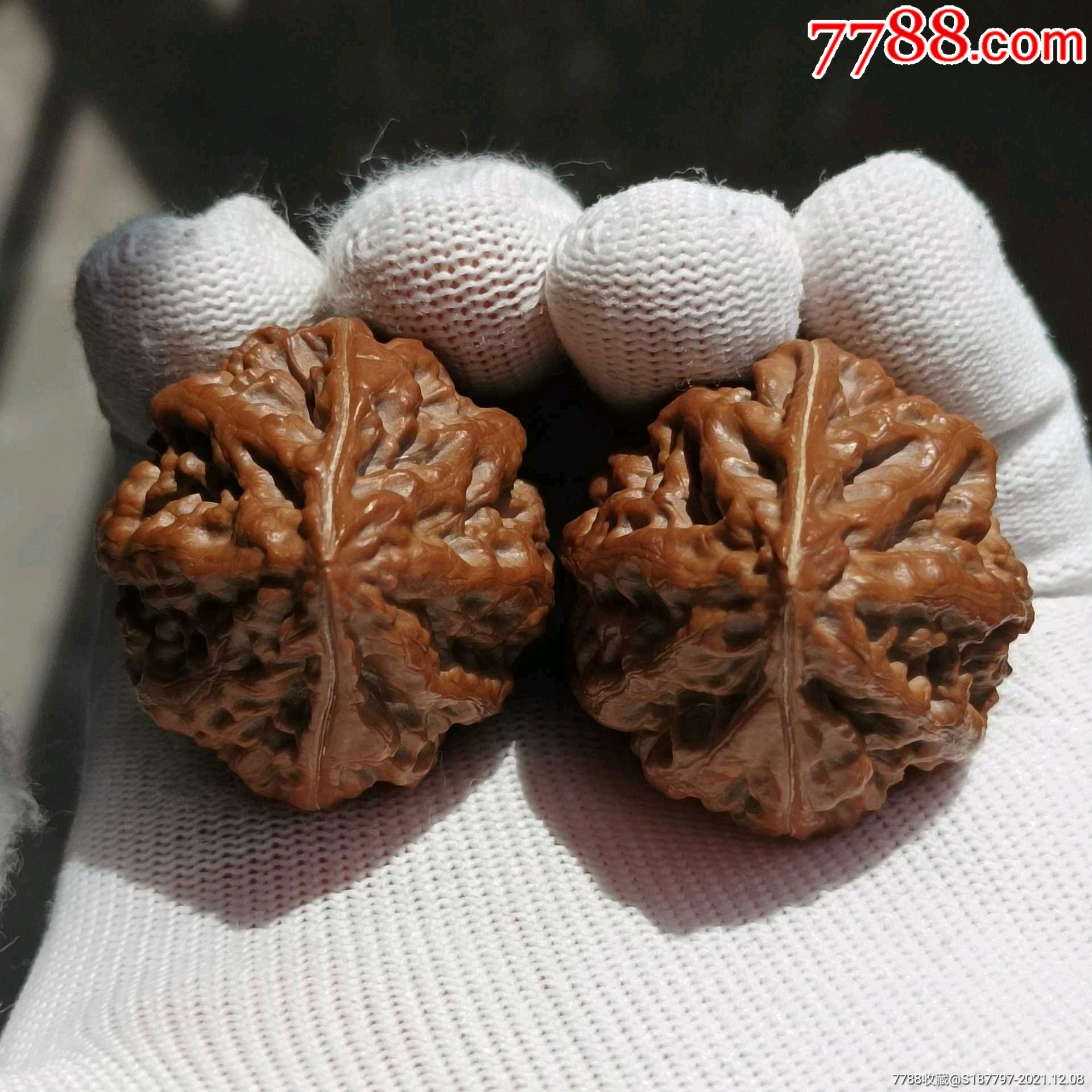 东北秋子_文玩核桃_图片价格_收藏鉴定_7788钱币网