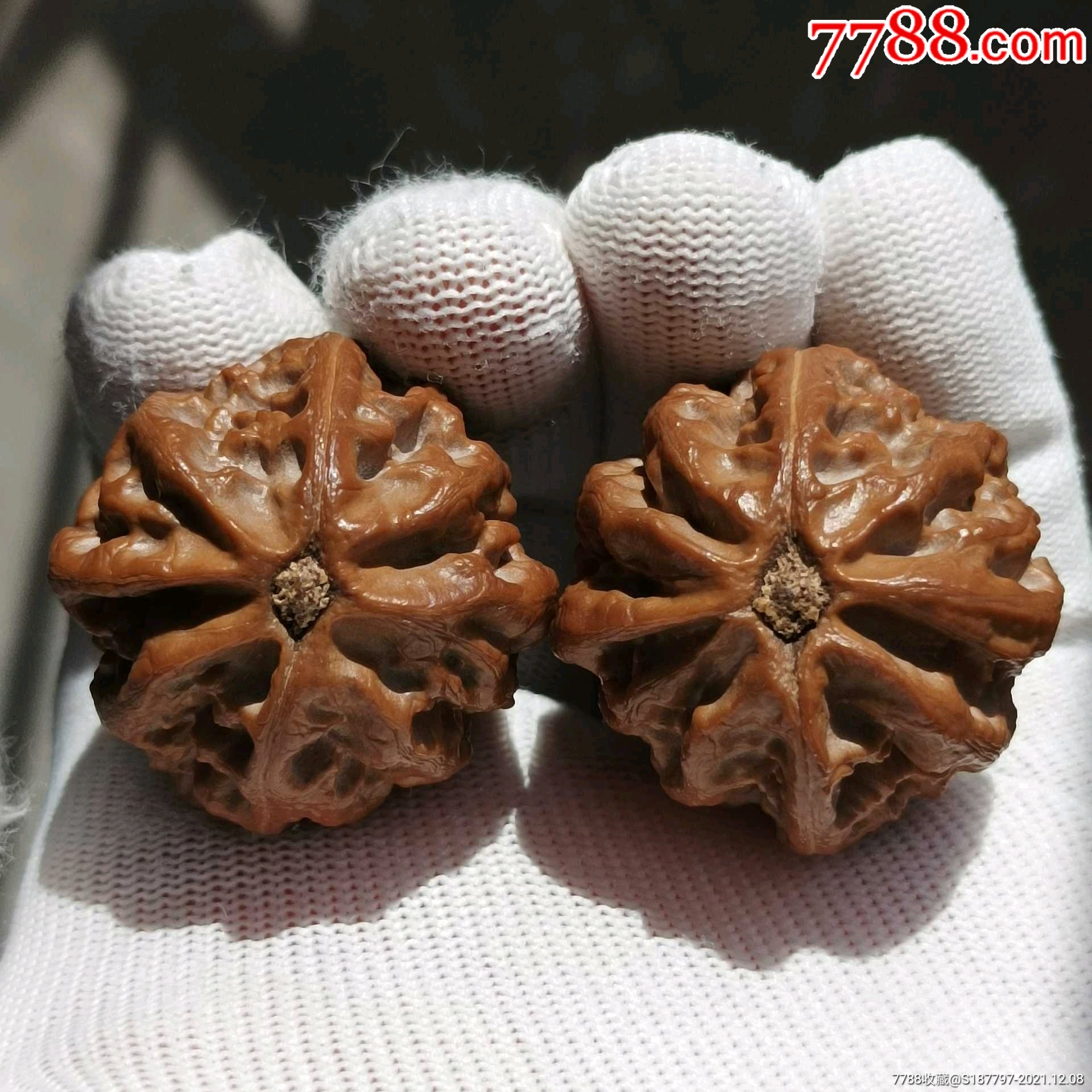 东北秋子_文玩核桃_图片价格_收藏鉴定_7788钱币网