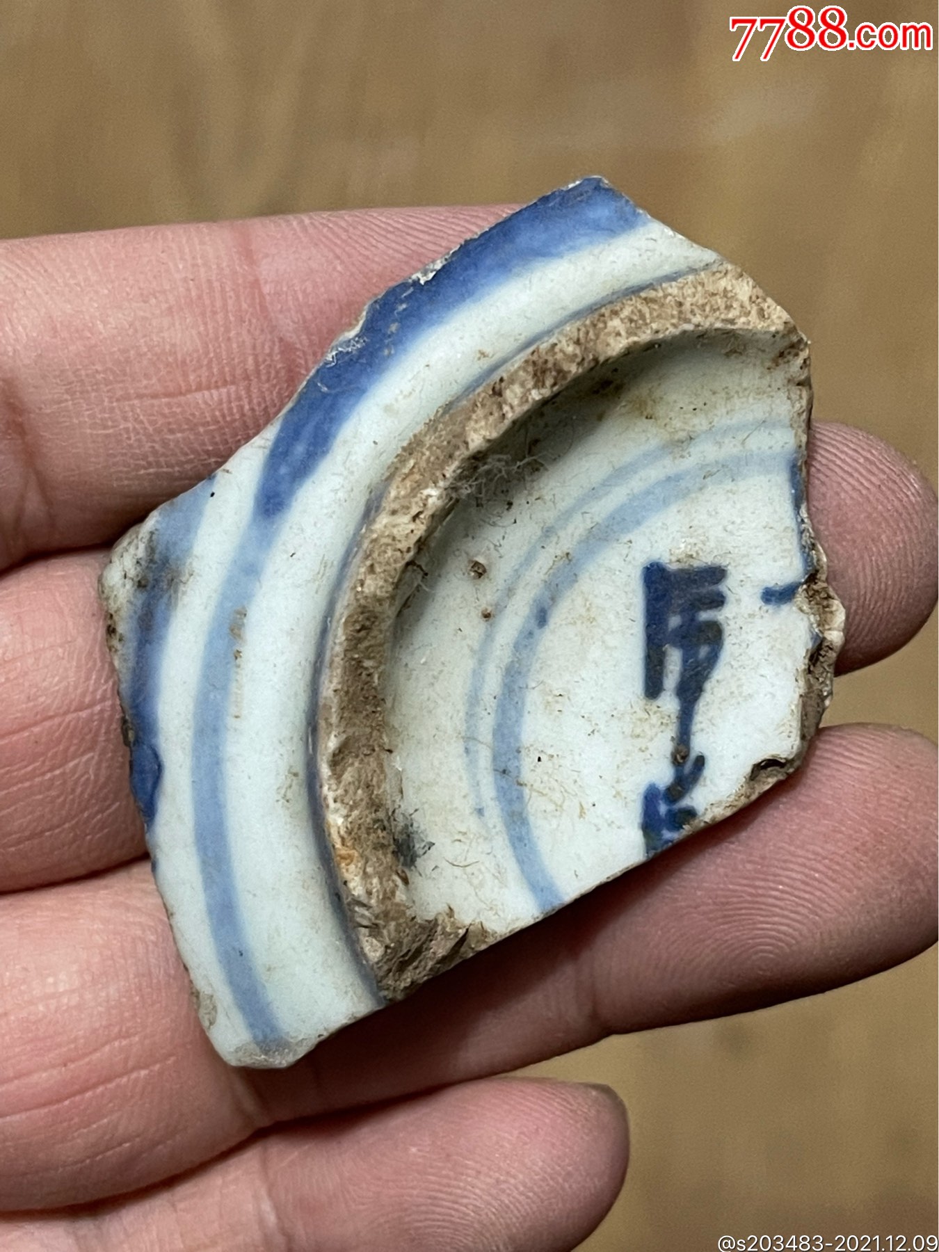 青花瓷片碎片标本