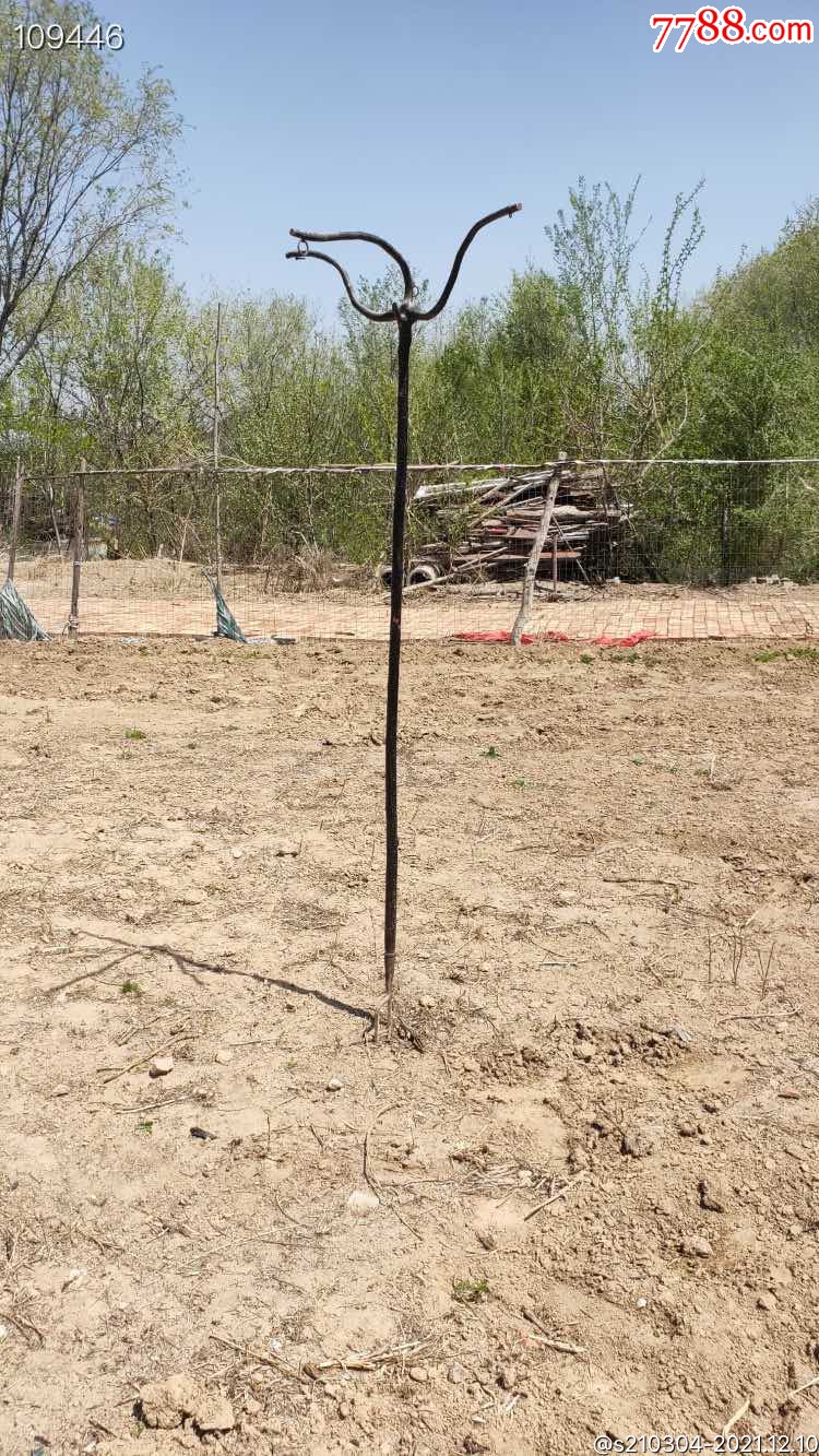 老鸟杆已前挂鸟笼用保存完整造型独特尺寸高208厘米