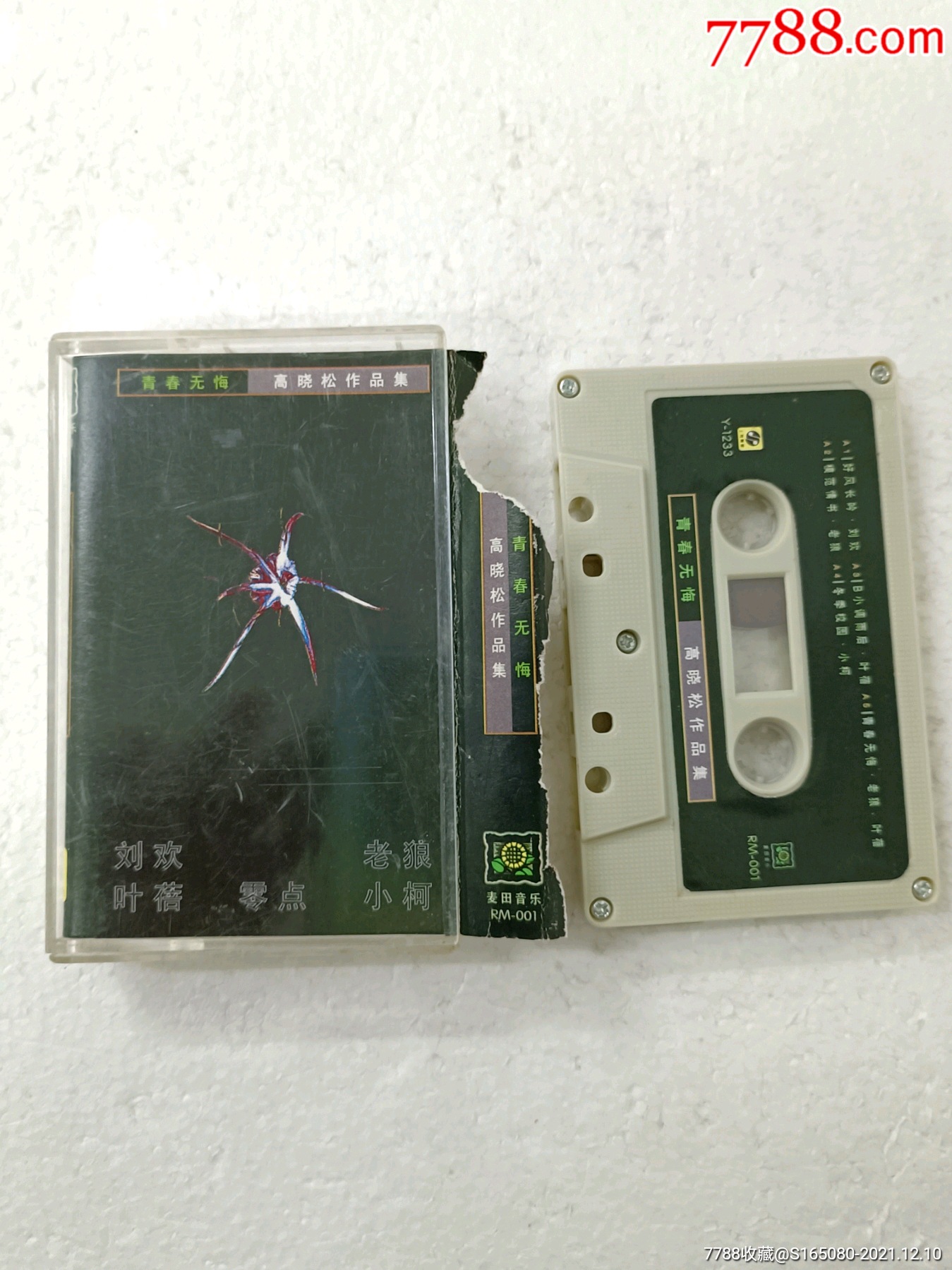 青春无悔高晓松作品集