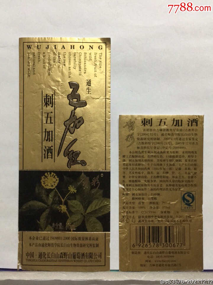 p24五加红刺五加酒