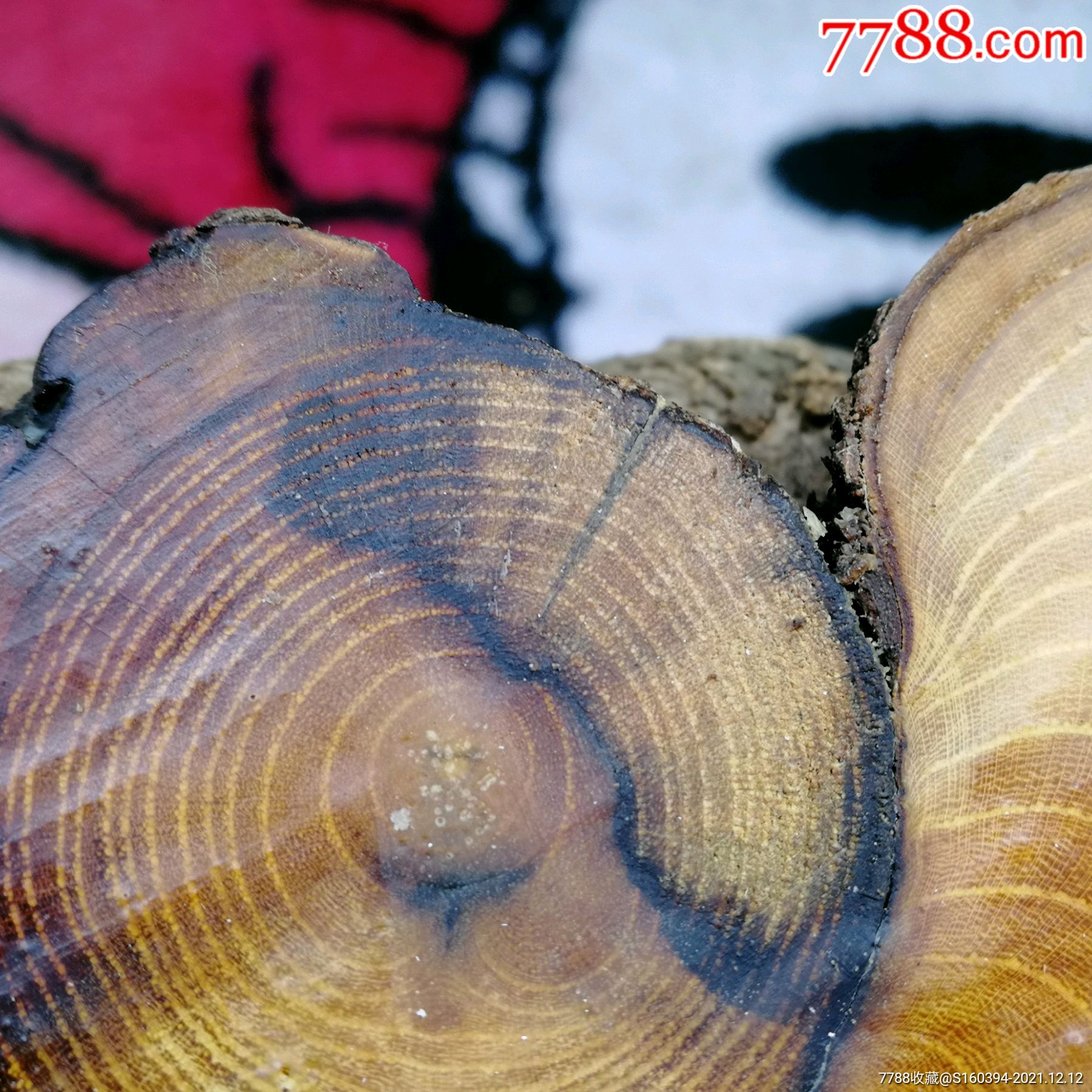 柘木木料观赏收藏木文玩雕刻木料手工小料实木木料天然木纹像如意