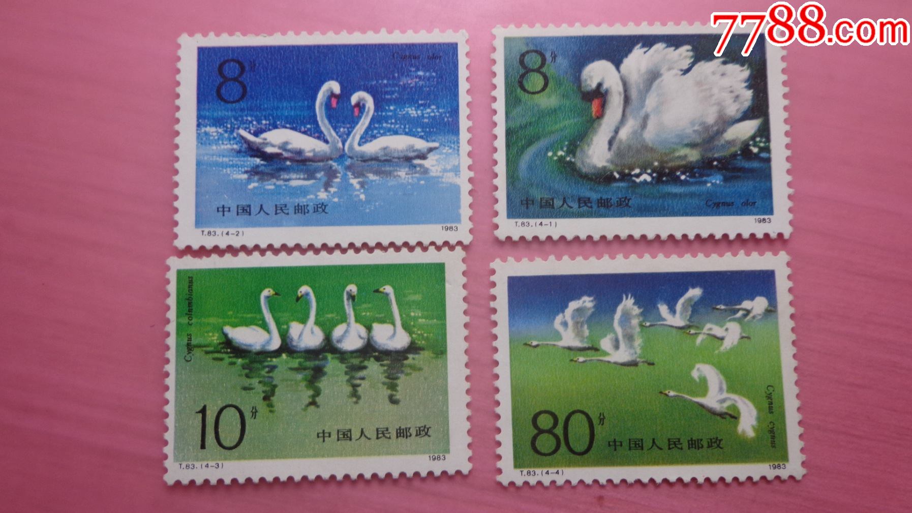 t83天鹅4全_新中国邮票_图片价格_收藏行情_7788集邮网
