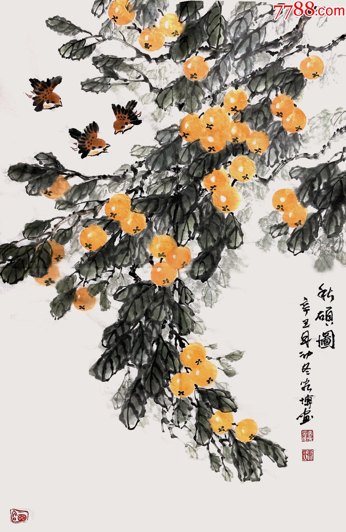 国家一级美术师花鸟画枇杷10秋硕图