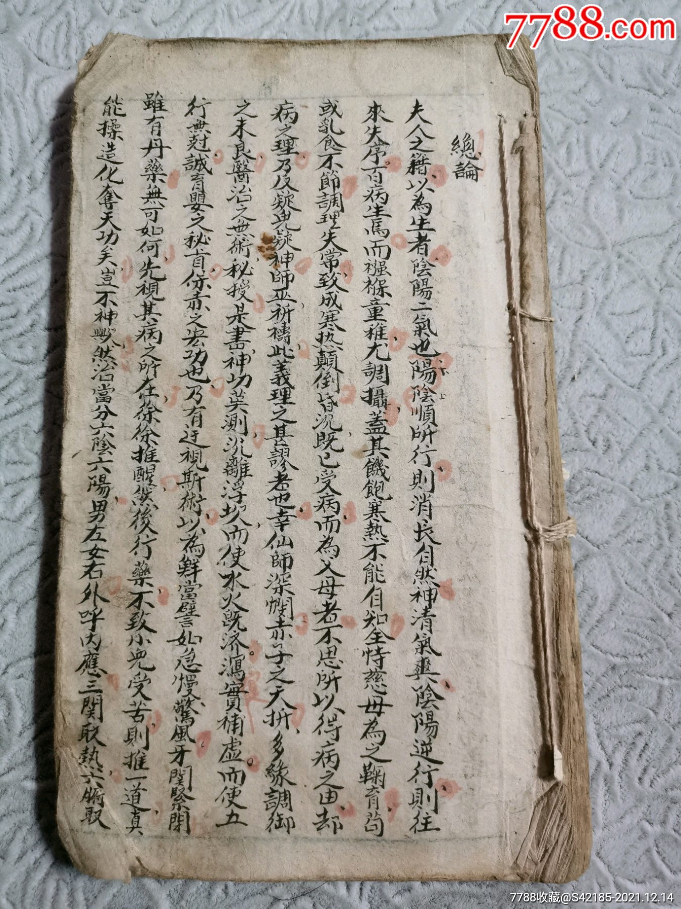 清代精抄本里面大量手绘图