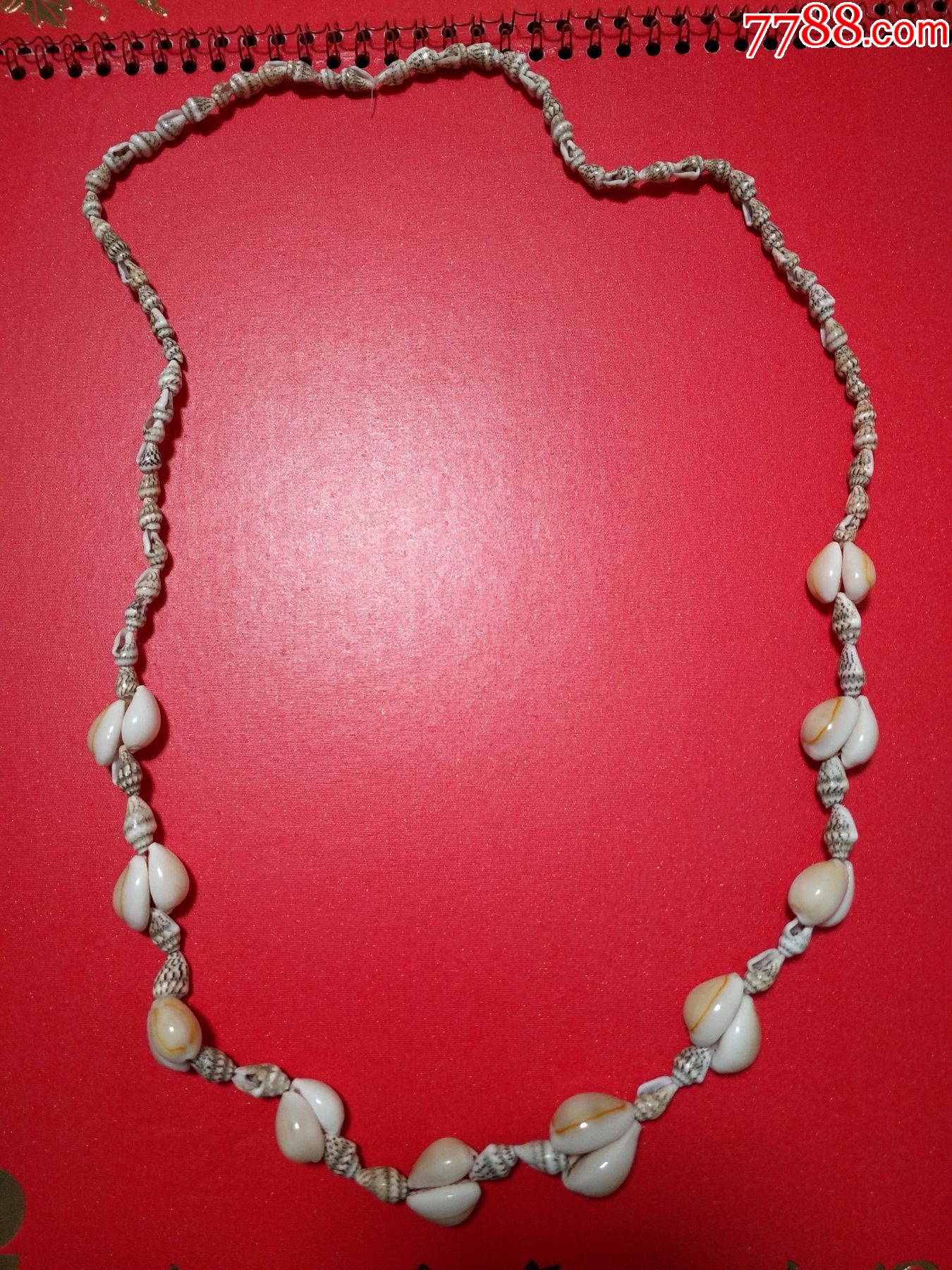 贝壳项链瞎卖